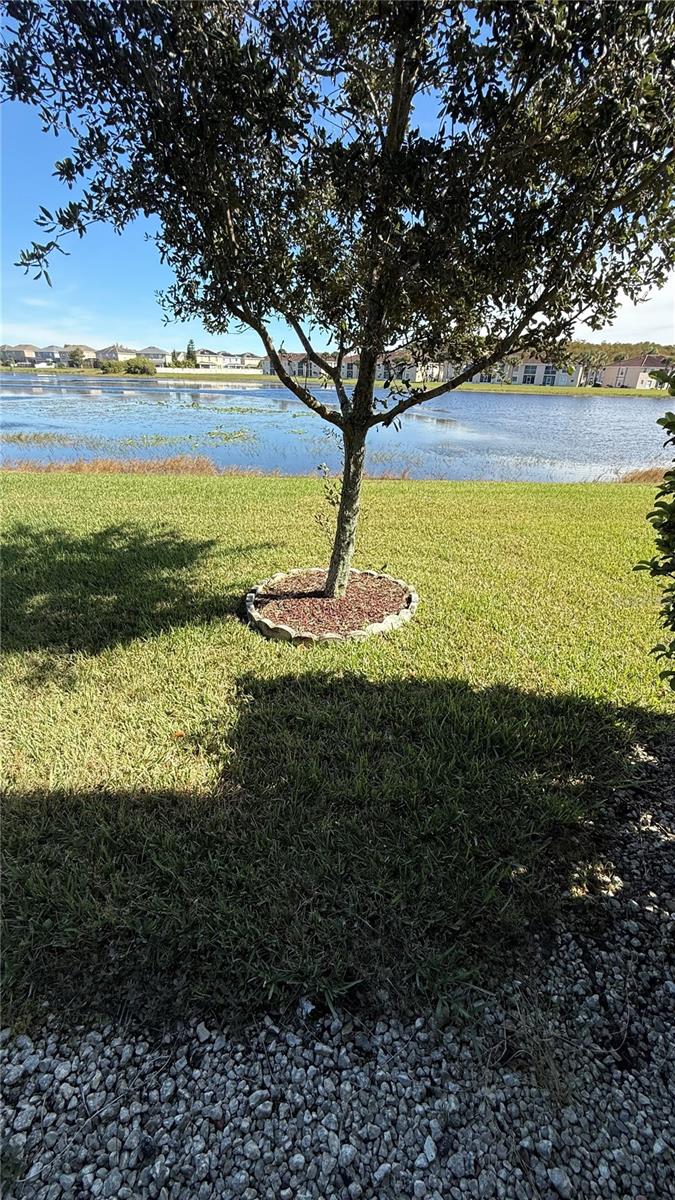 15619 WILLOW ARBOR CIR, ORLANDO, FL, 32824