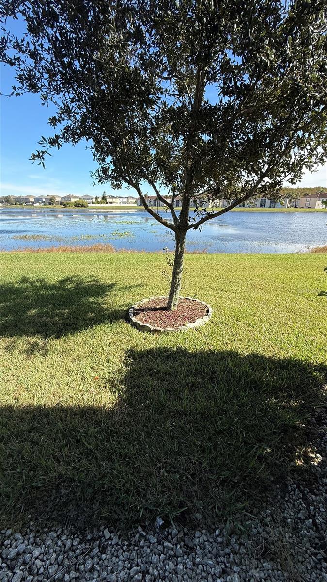 15619 WILLOW ARBOR CIR, ORLANDO, FL, 32824