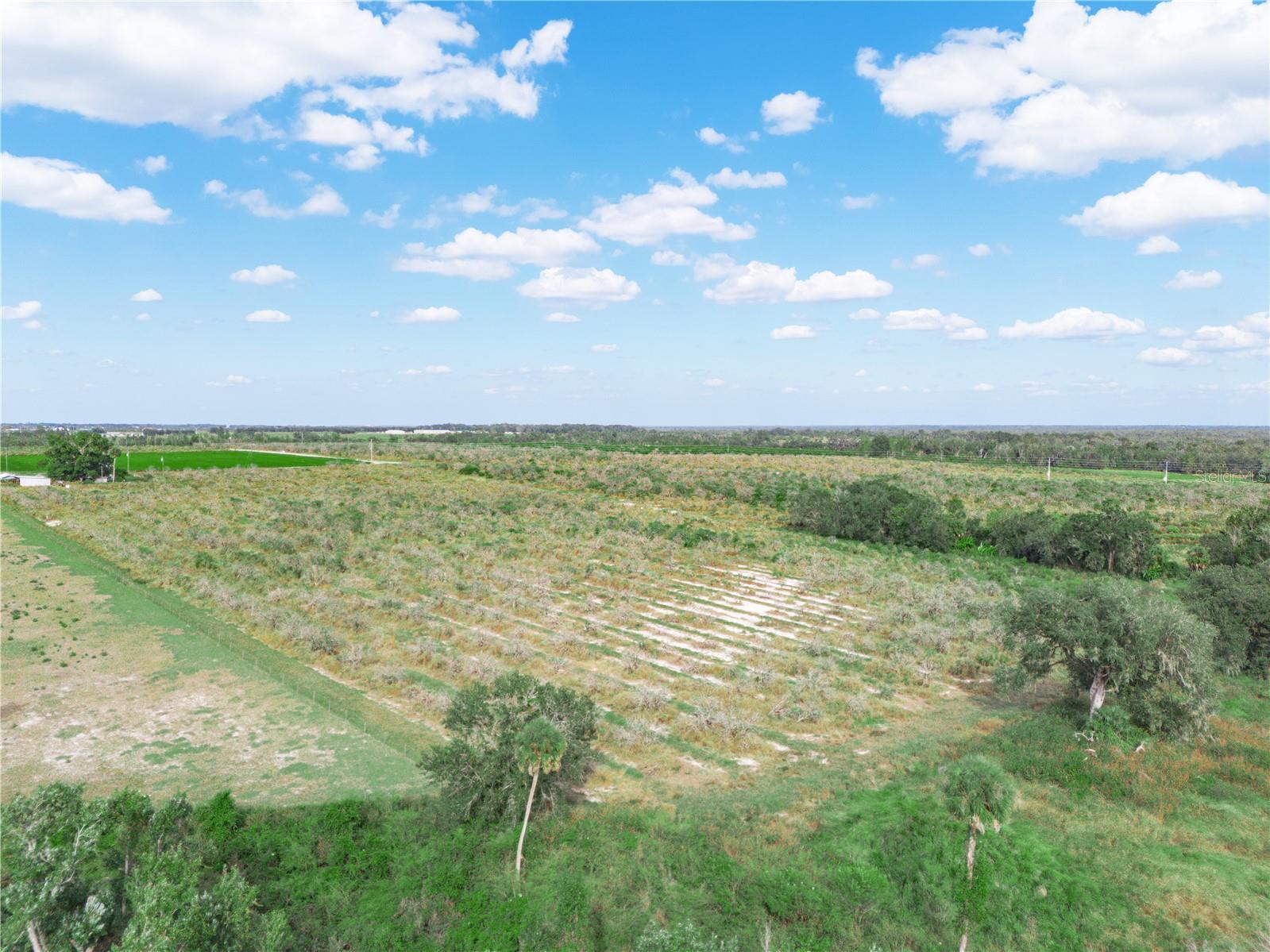 2485 S FLORIDA AVE, WAUCHULA, FL, 33873