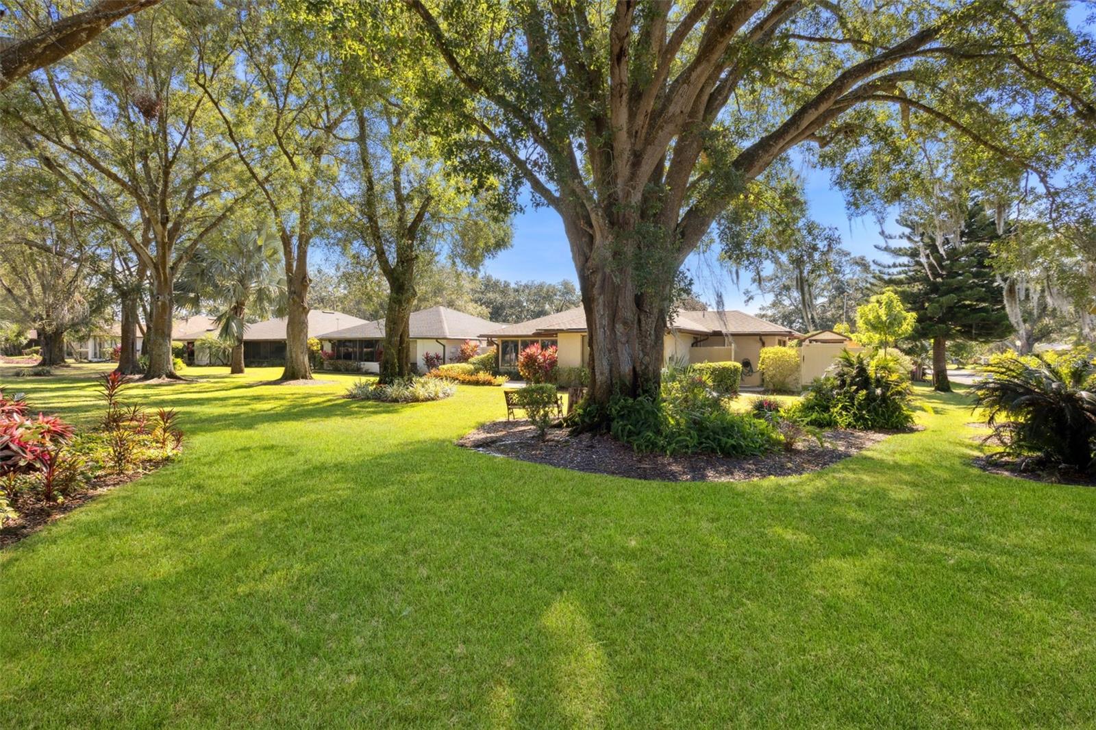 35 PIPERS PASS, HAINES CITY, FL, 33844