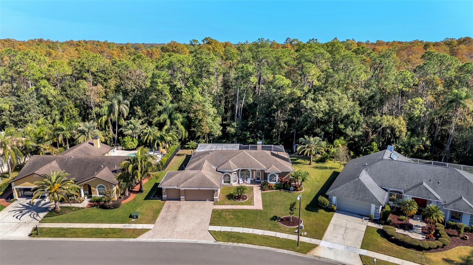 2565 APPALOOSA TRL, PALM HARBOR, FL, 34685