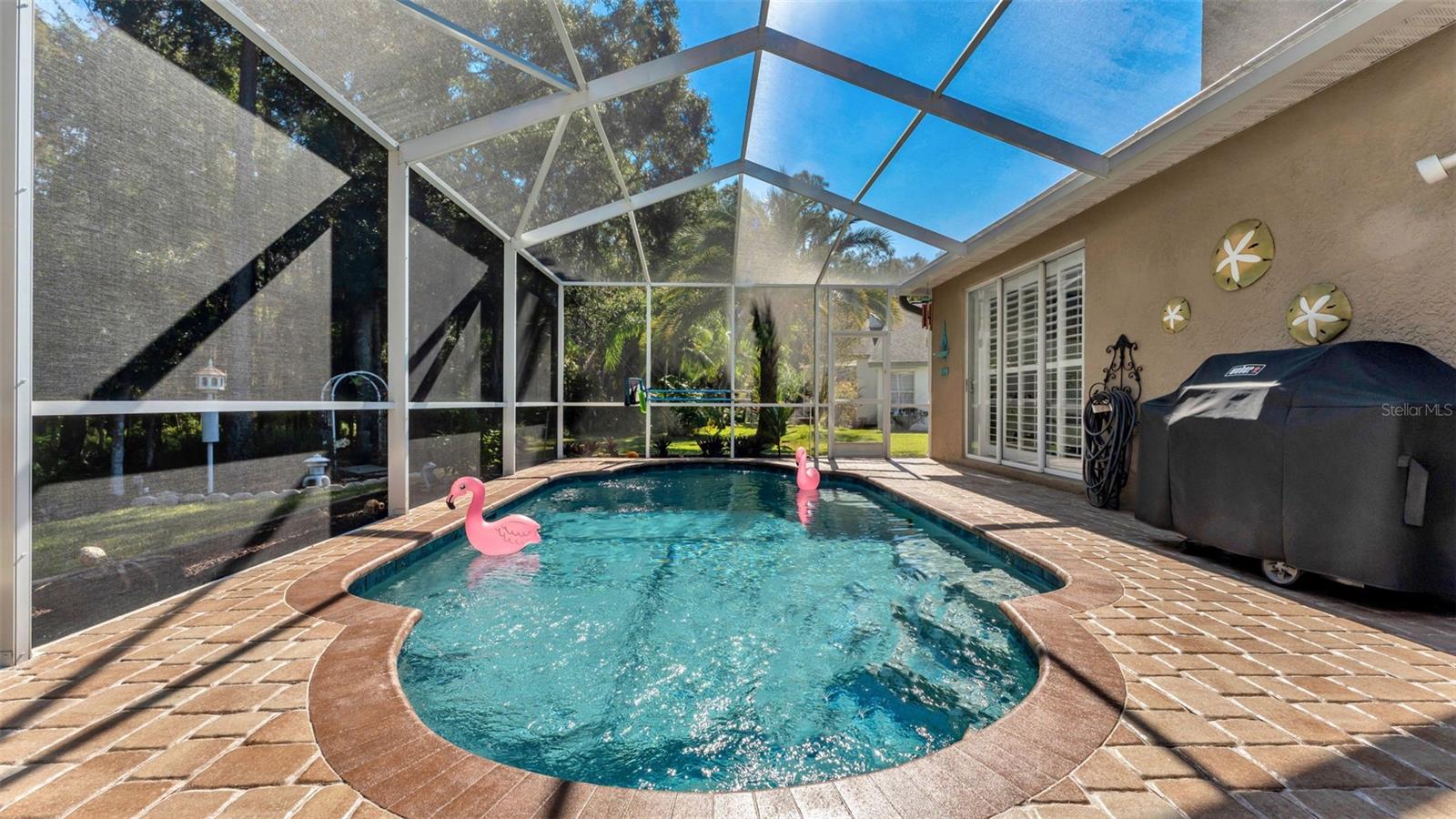 2565 APPALOOSA TRL, PALM HARBOR, FL, 34685