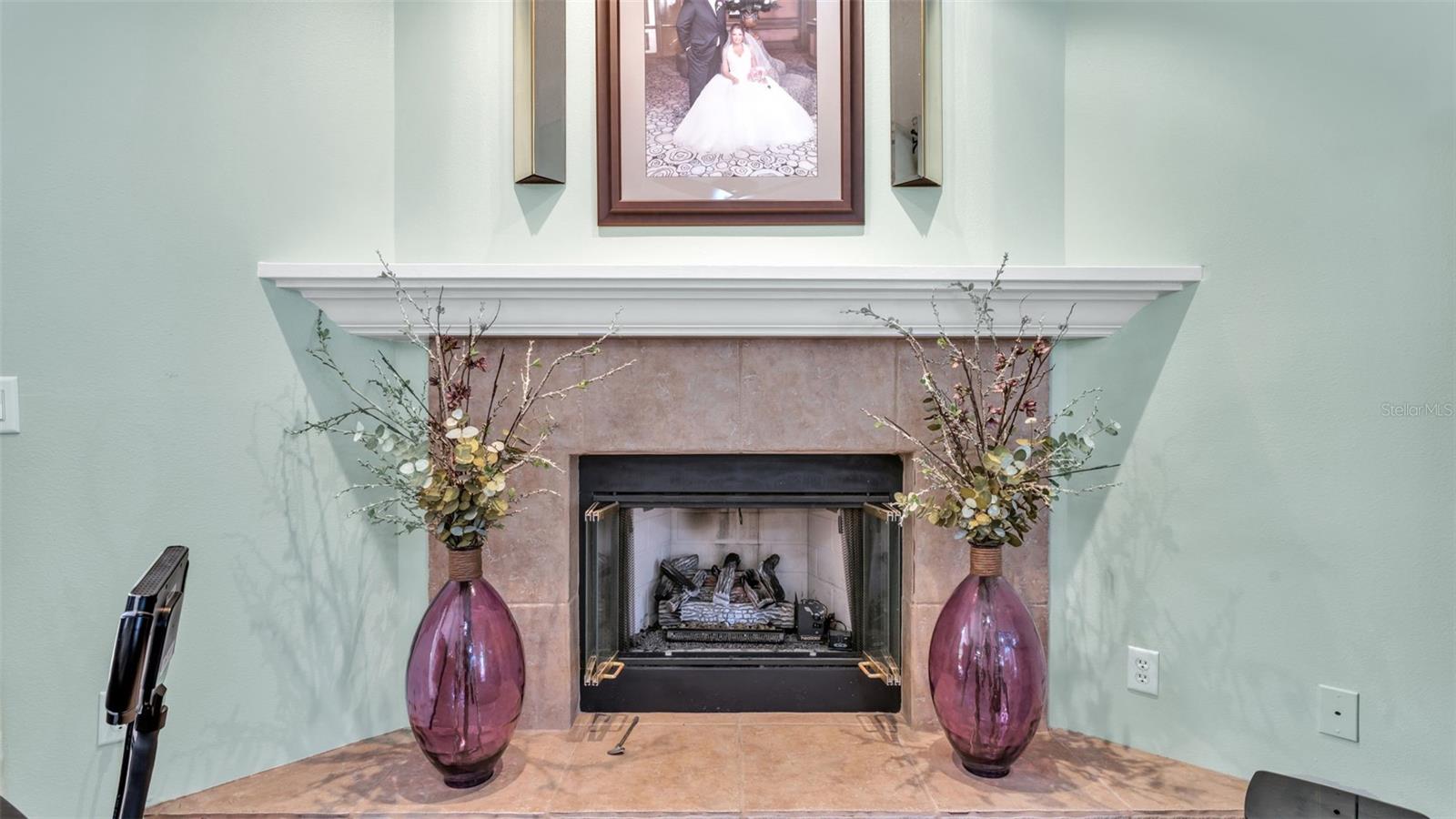 2565 APPALOOSA TRL, PALM HARBOR, FL, 34685