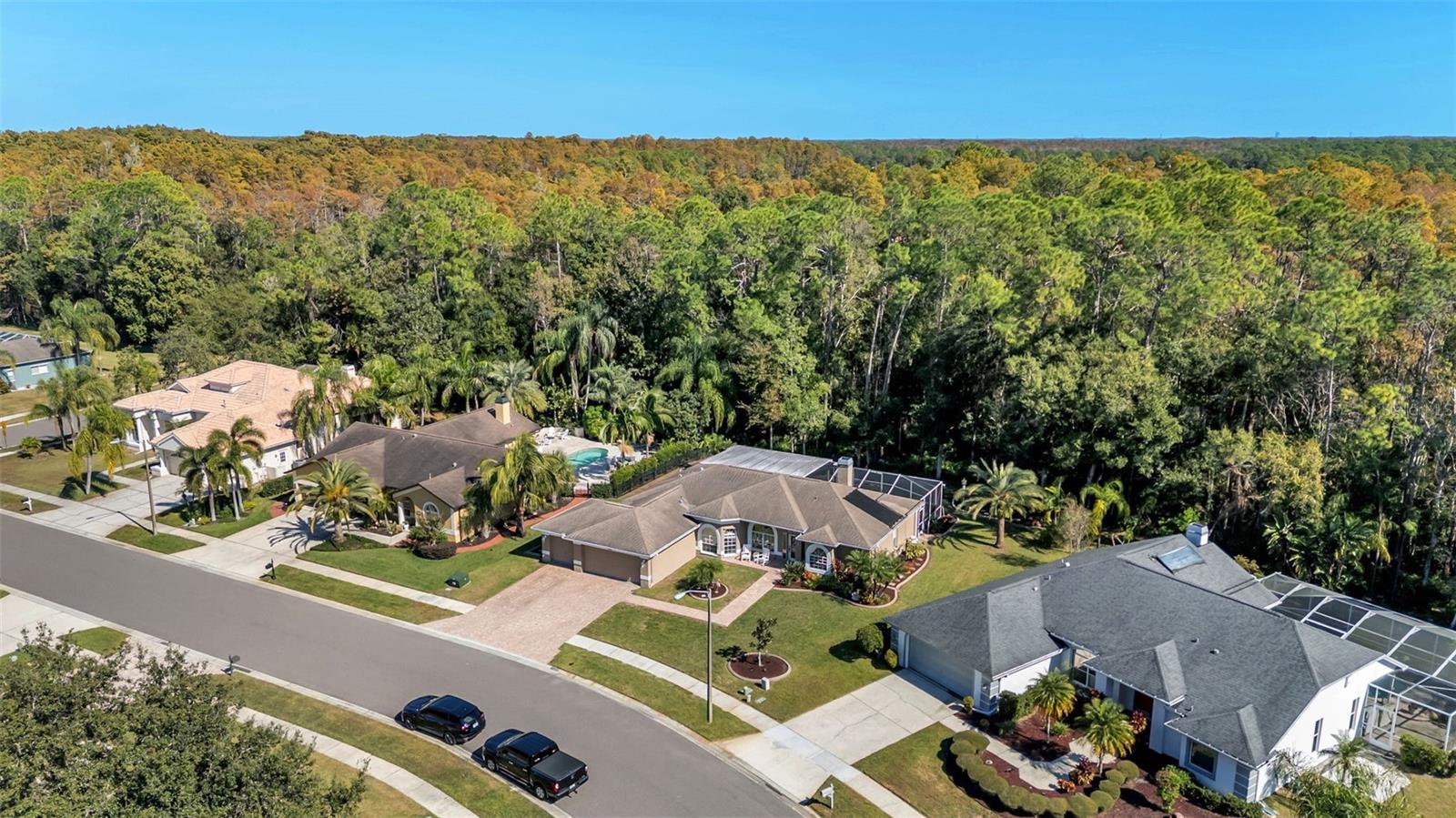 2565 APPALOOSA TRL, PALM HARBOR, FL, 34685