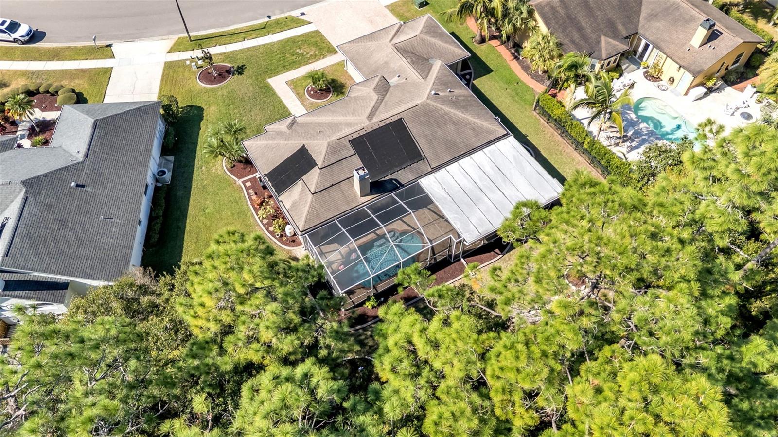 2565 APPALOOSA TRL, PALM HARBOR, FL, 34685