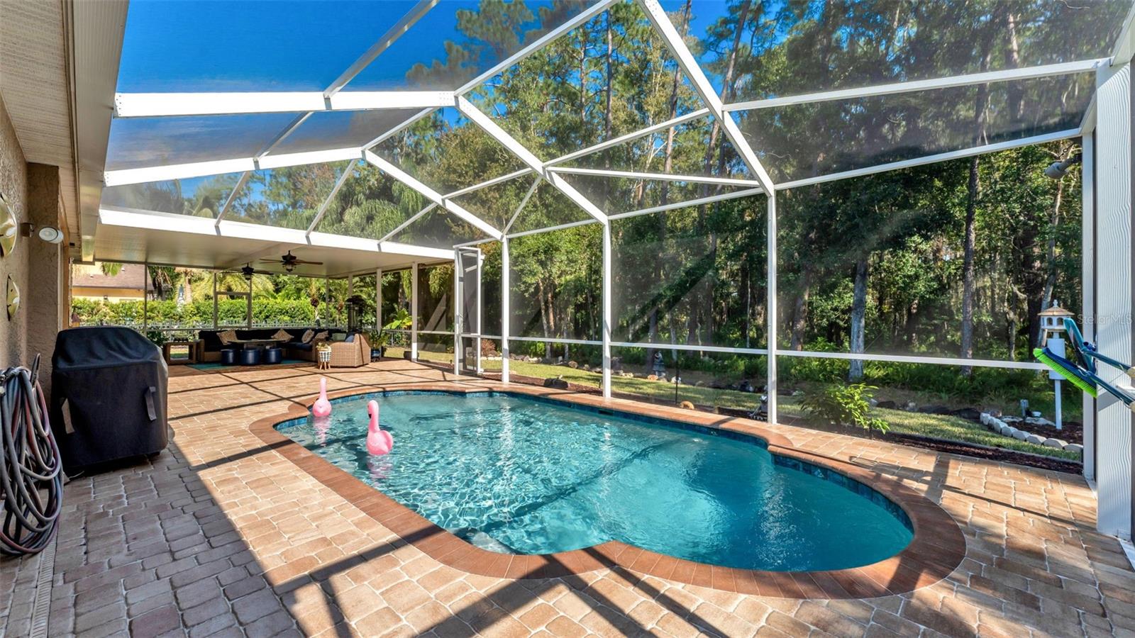 2565 APPALOOSA TRL, PALM HARBOR, FL, 34685