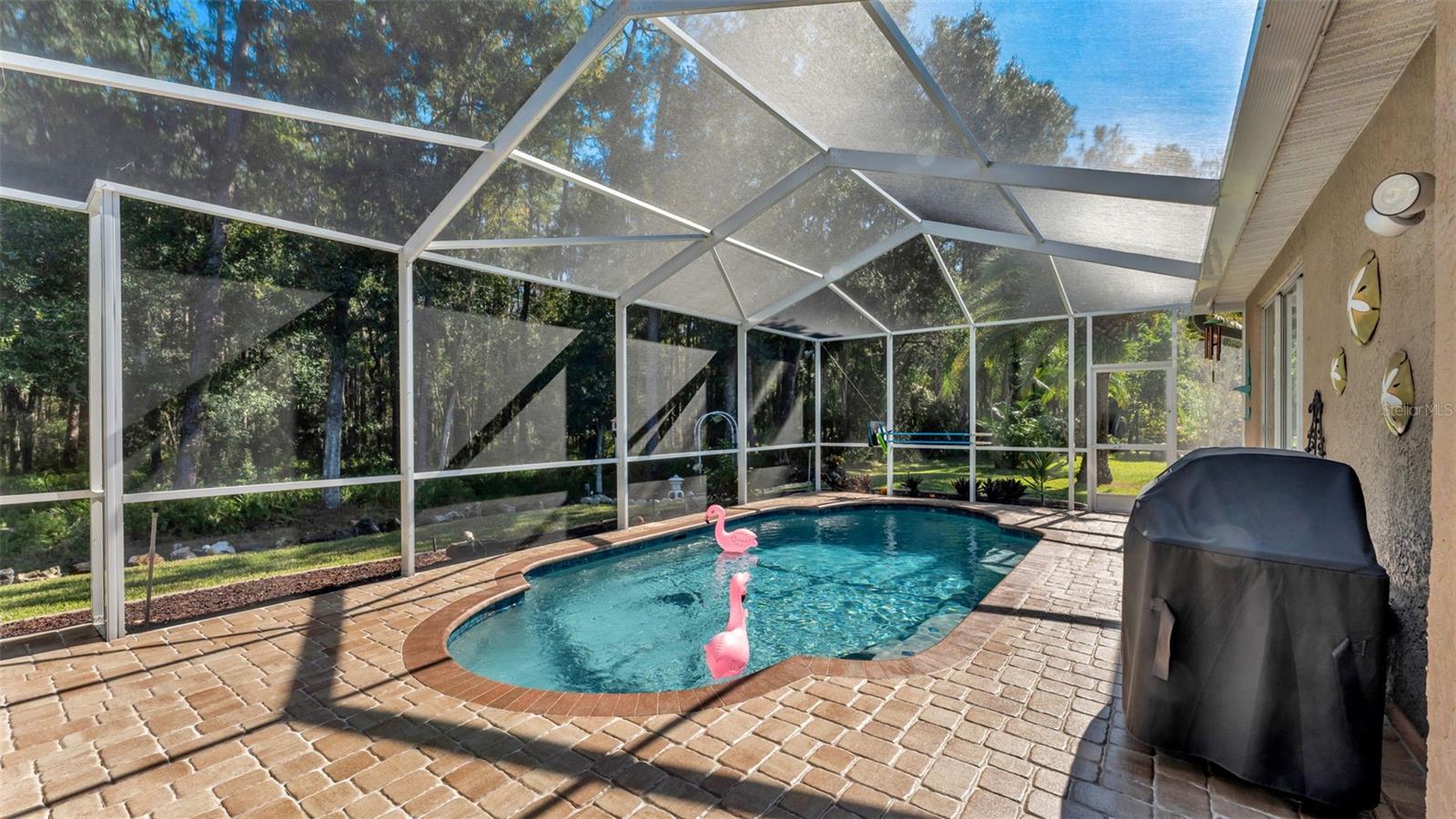 2565 APPALOOSA TRL, PALM HARBOR, FL, 34685