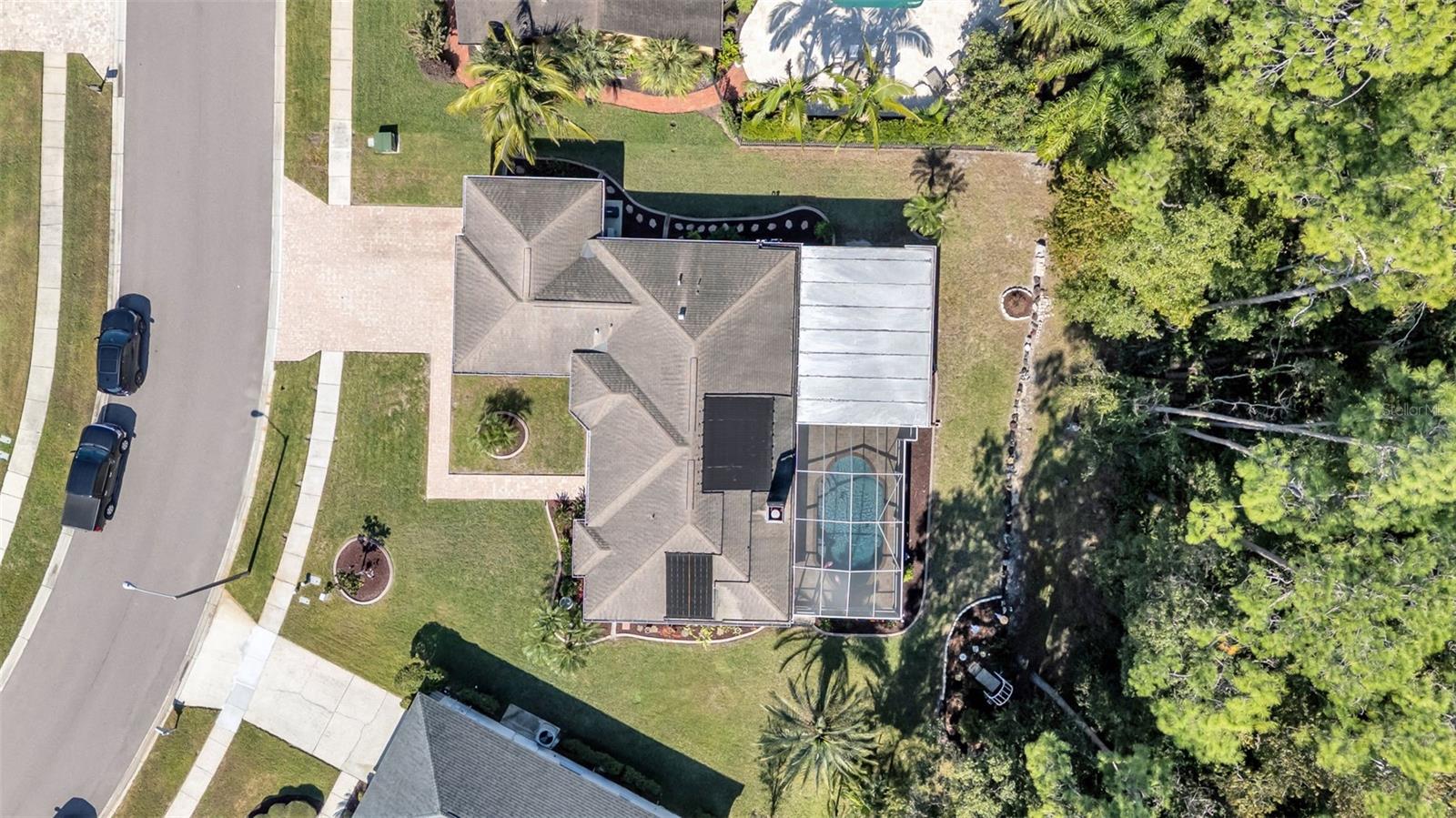 2565 APPALOOSA TRL, PALM HARBOR, FL, 34685