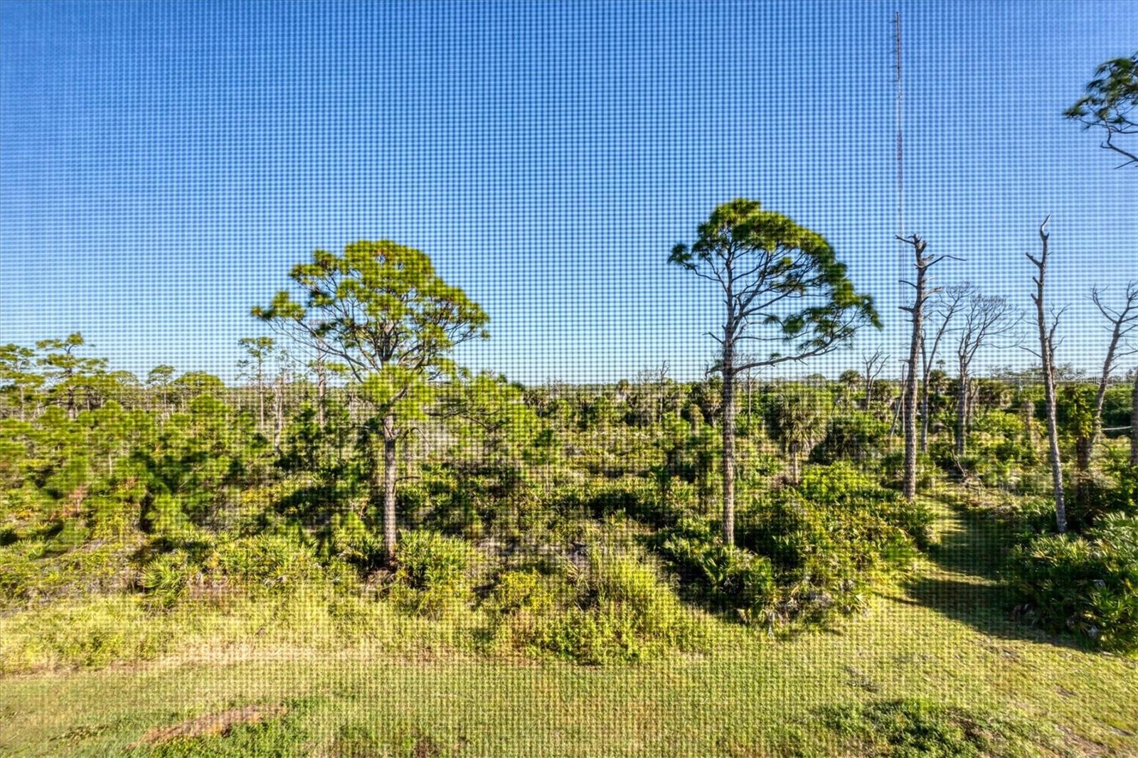 8407 PLACIDA RD #307, PLACIDA, FL, 33946