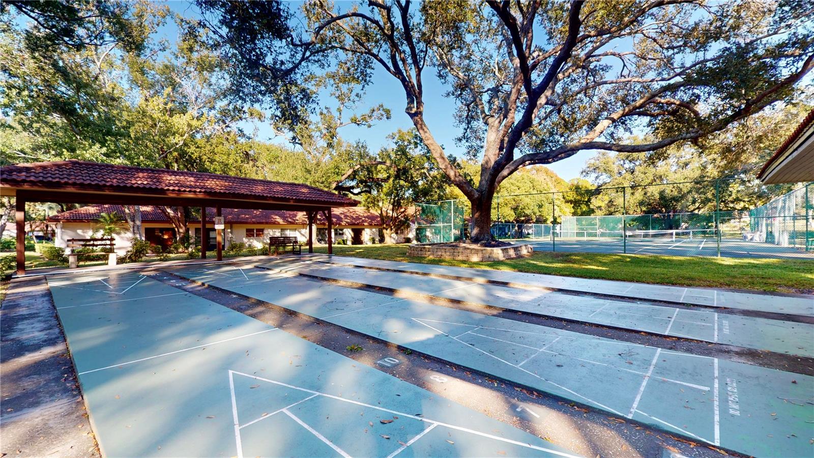 1155 MONTROSE PL, DUNEDIN, FL, 34698