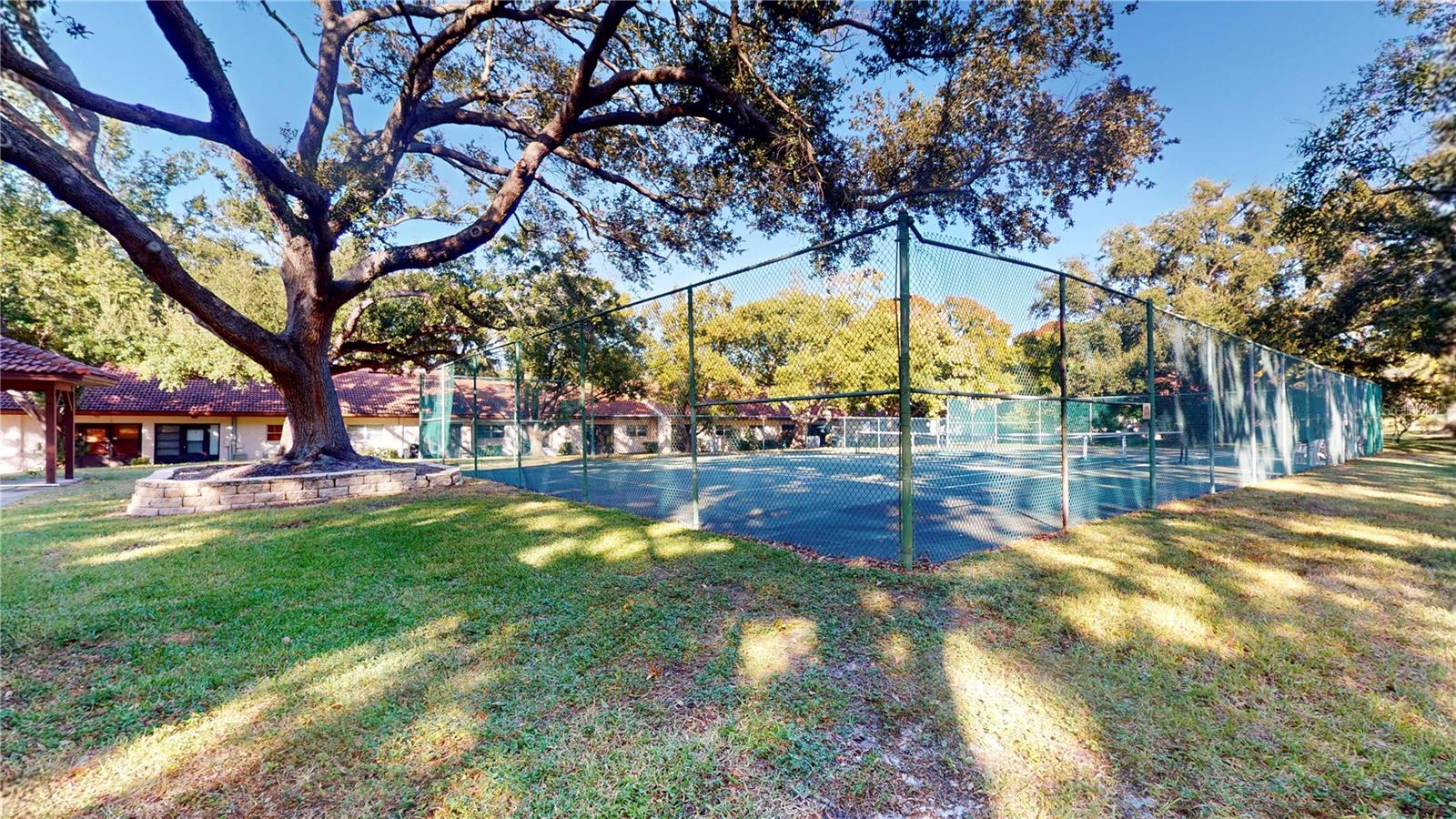 1155 MONTROSE PL, DUNEDIN, FL, 34698