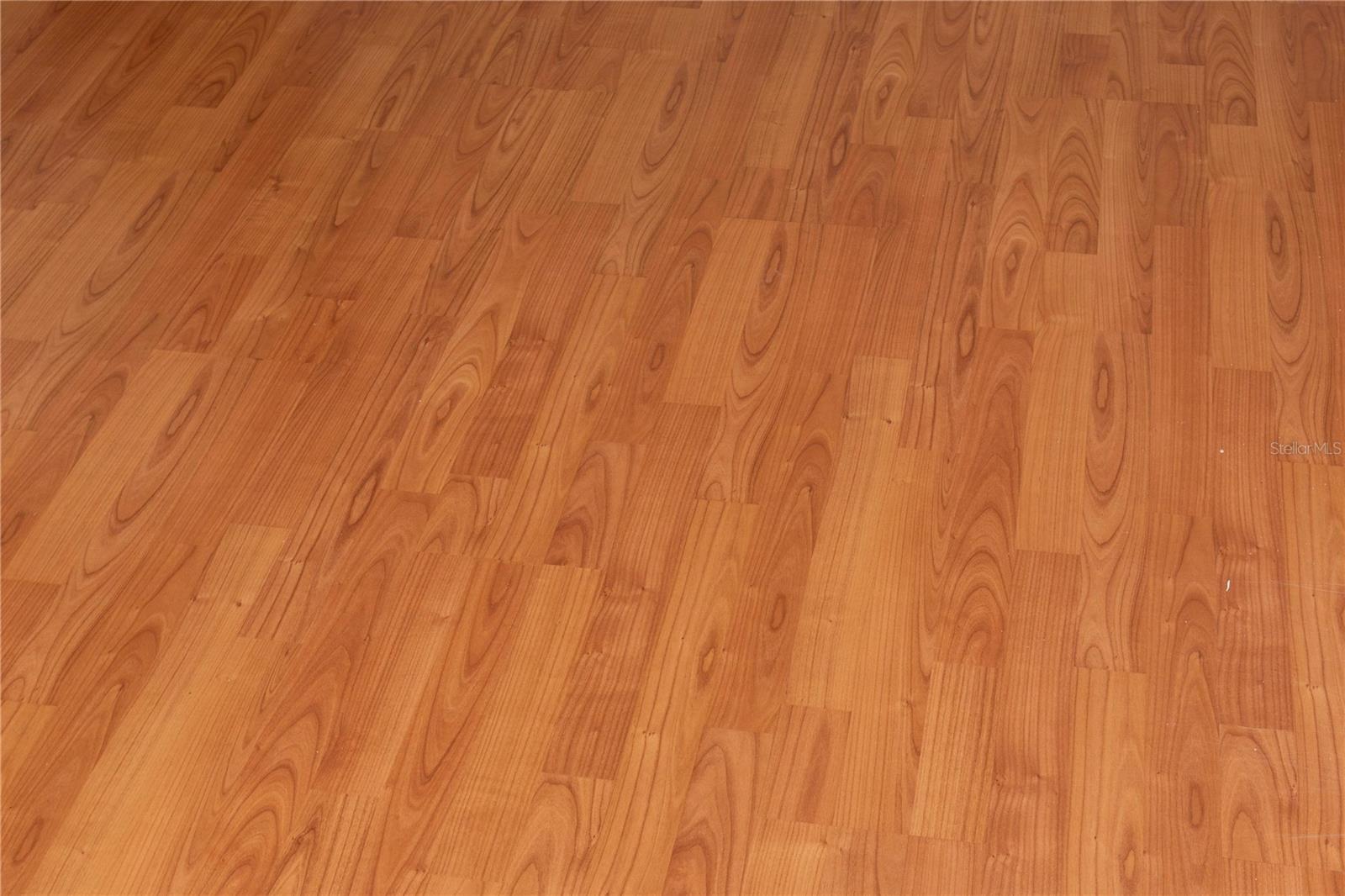 6436 BALDWYN AVE, NEW PORT RICHEY, FL, 34653