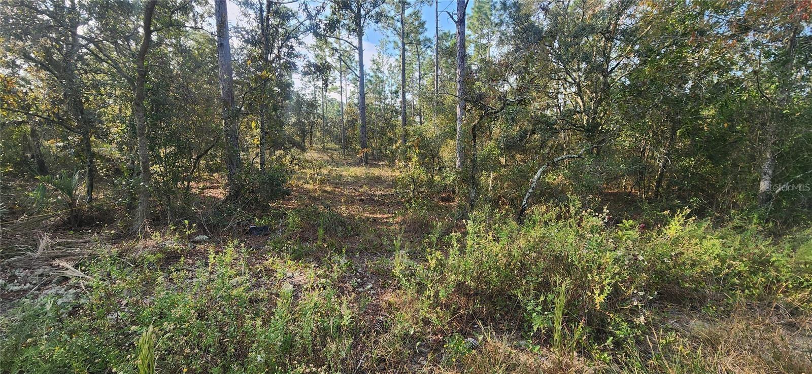 00 SW EDGEWATER BLVD, DUNNELLON, FL, 34431