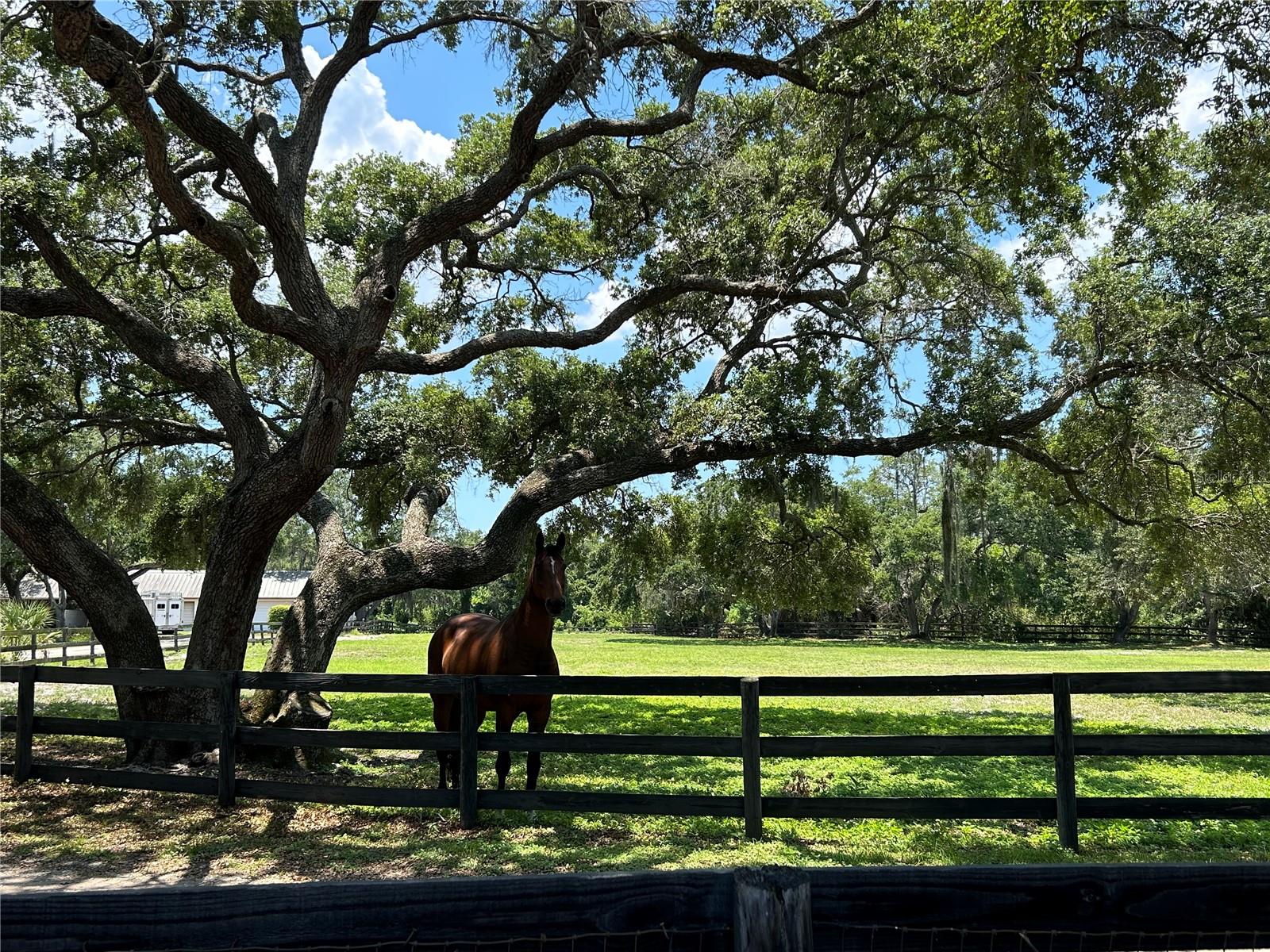 2056 59TH WAY N, CLEARWATER, FL, 33760