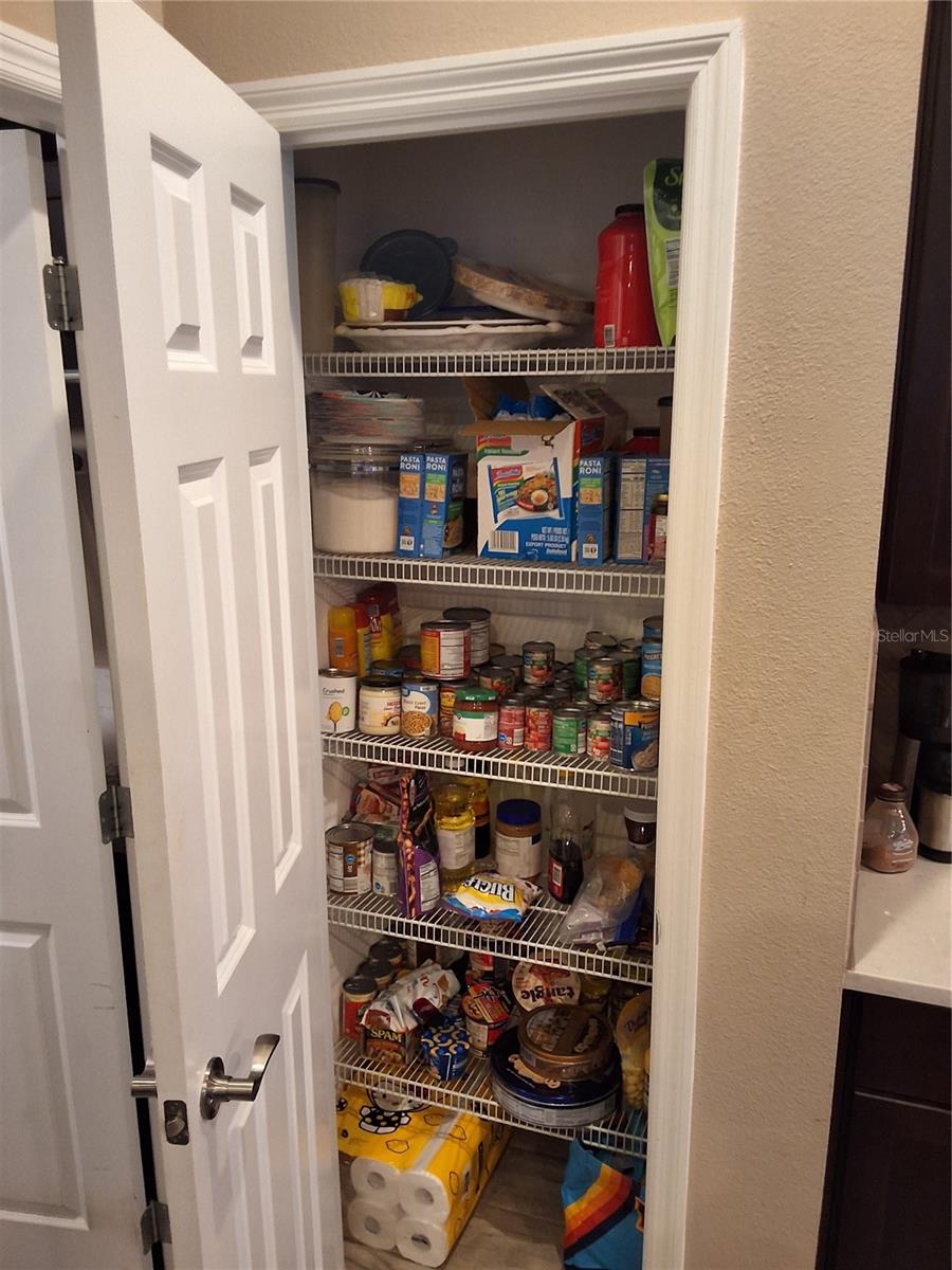 602 CONSERVATION BLVD, GROVELAND, FL, 34736