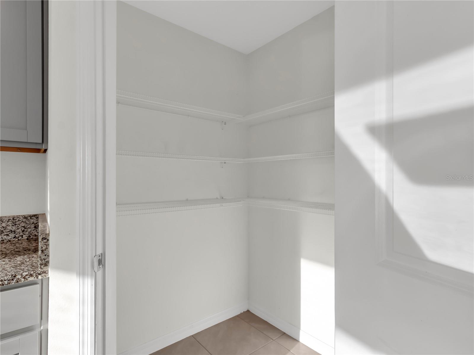 16645 MOSAIC OAR DR, WIMAUMA, FL, 33598