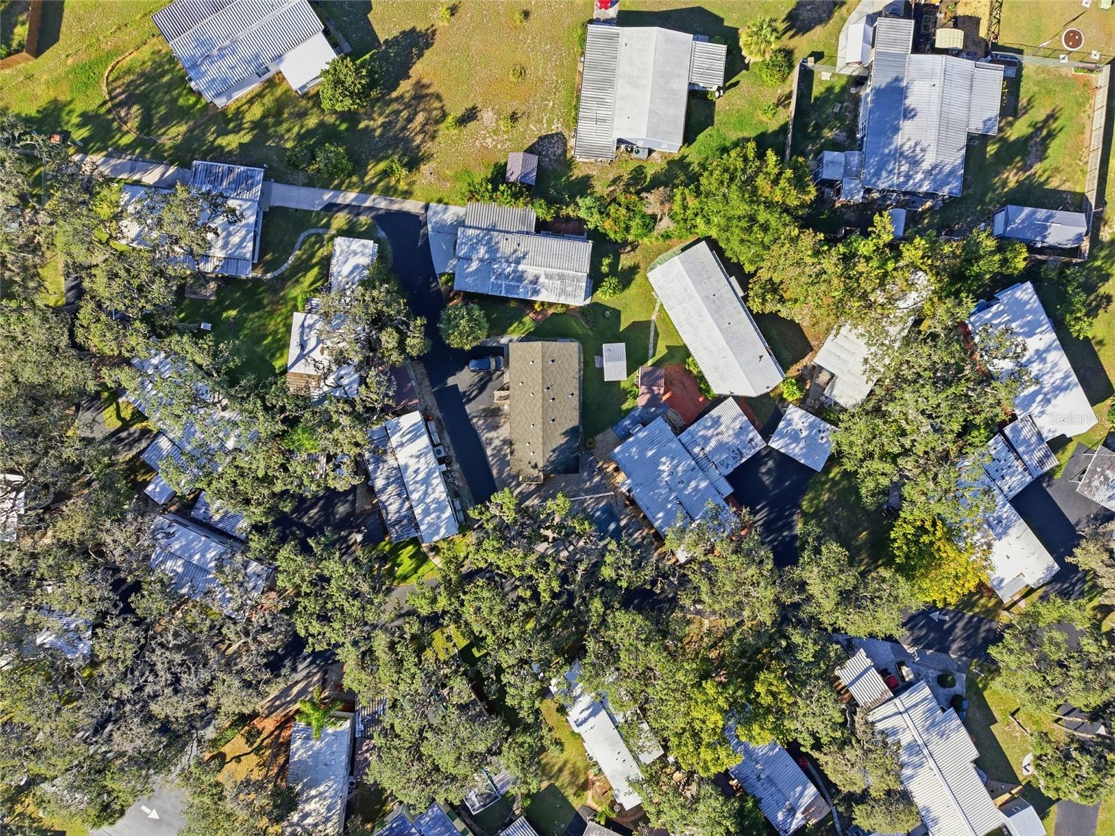 3896 PICCIOLA RD #532, FRUITLAND PARK, FL, 34731