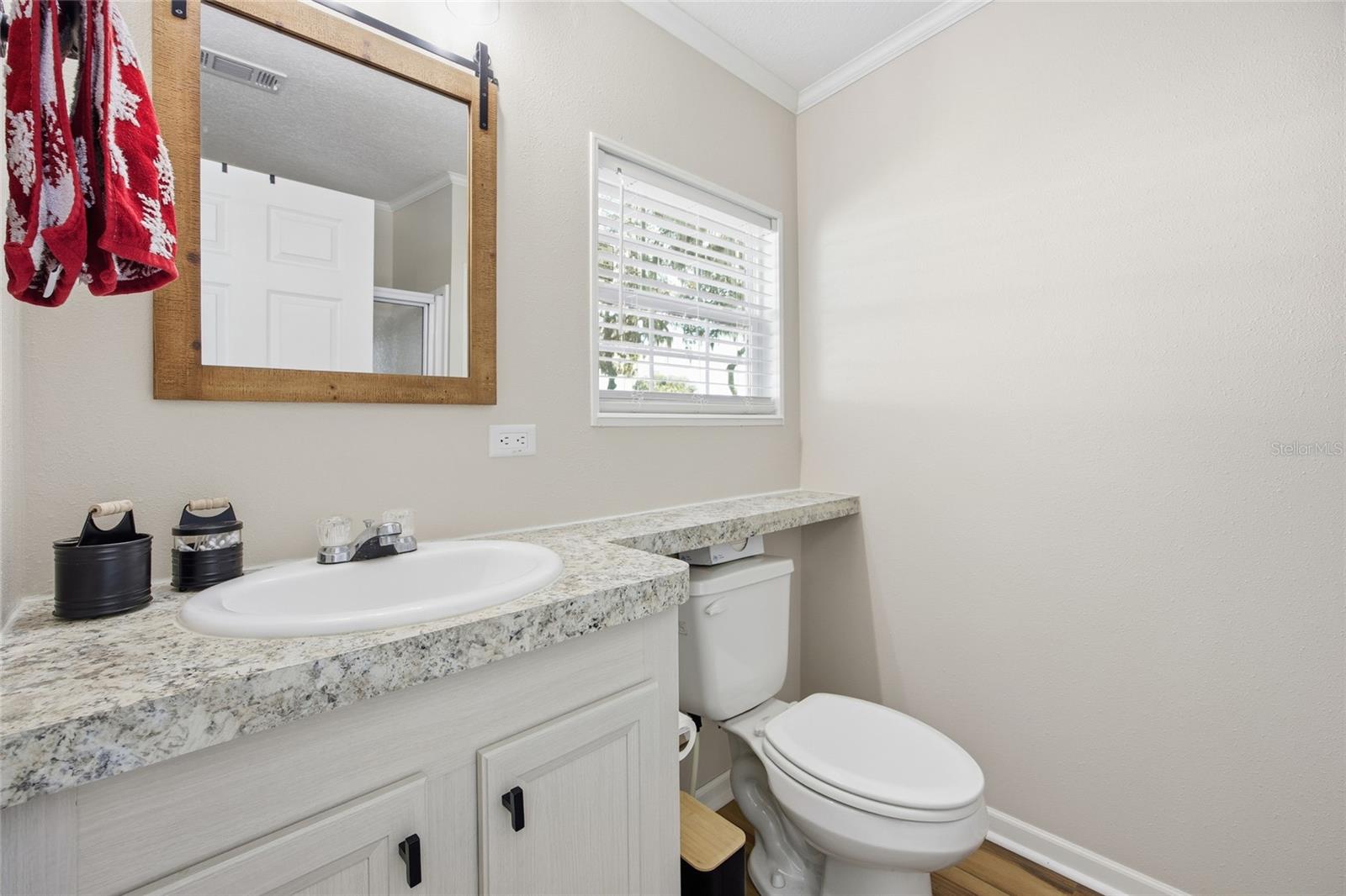 3896 PICCIOLA RD #532, FRUITLAND PARK, FL, 34731