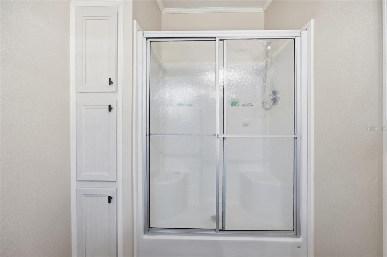 3896 PICCIOLA RD #532, FRUITLAND PARK, FL, 34731