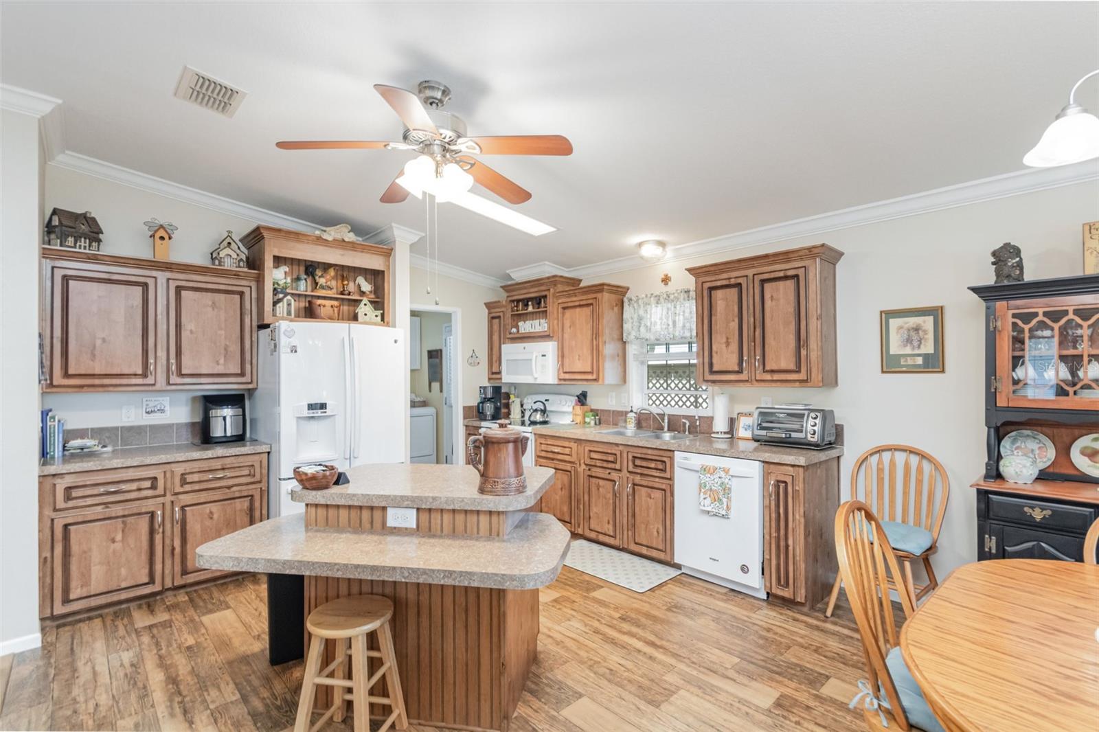 1729 STACEY DR, MOUNT DORA, FL, 32757