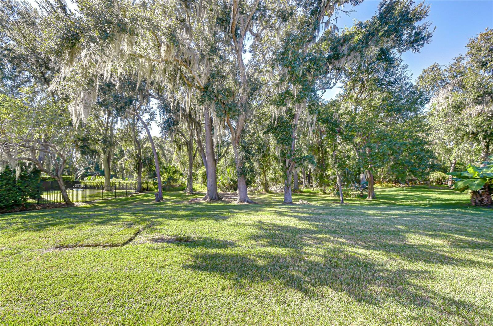 5917 TEALWATER PL, LITHIA, FL, 33547