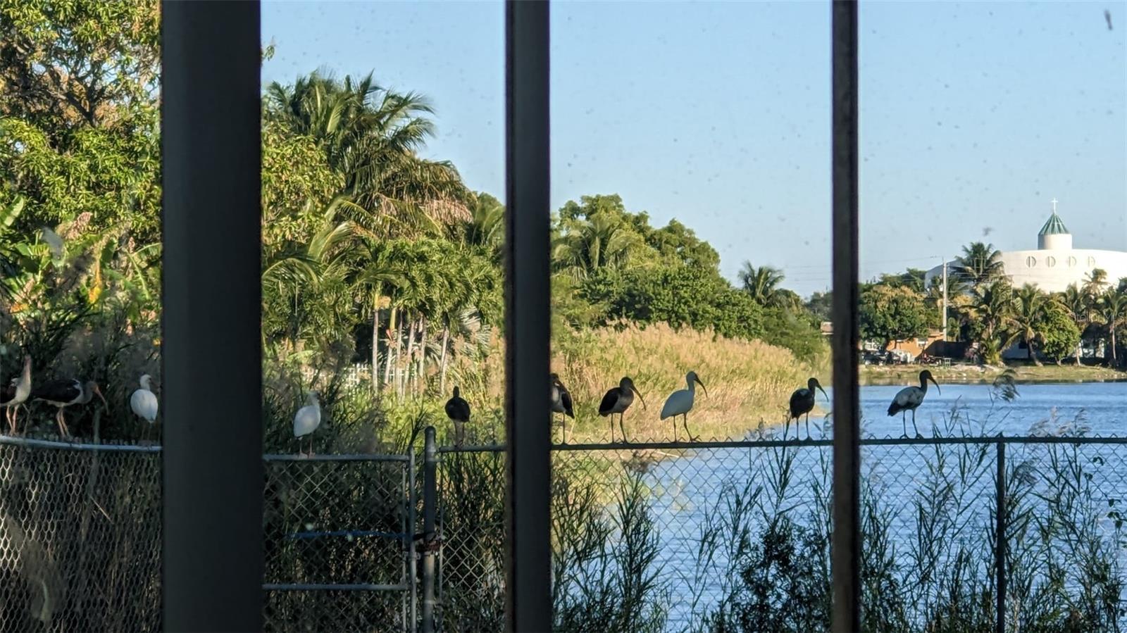 2321 NW 6TH ST, POMPANO BEACH, FL, 33069