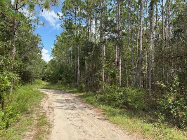 0000 SW 39TH ST, DUNNELLON, FL, 34432