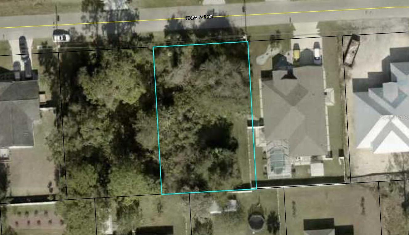 38 PINEAPPLE DR, PALM COAST, FL, 32164