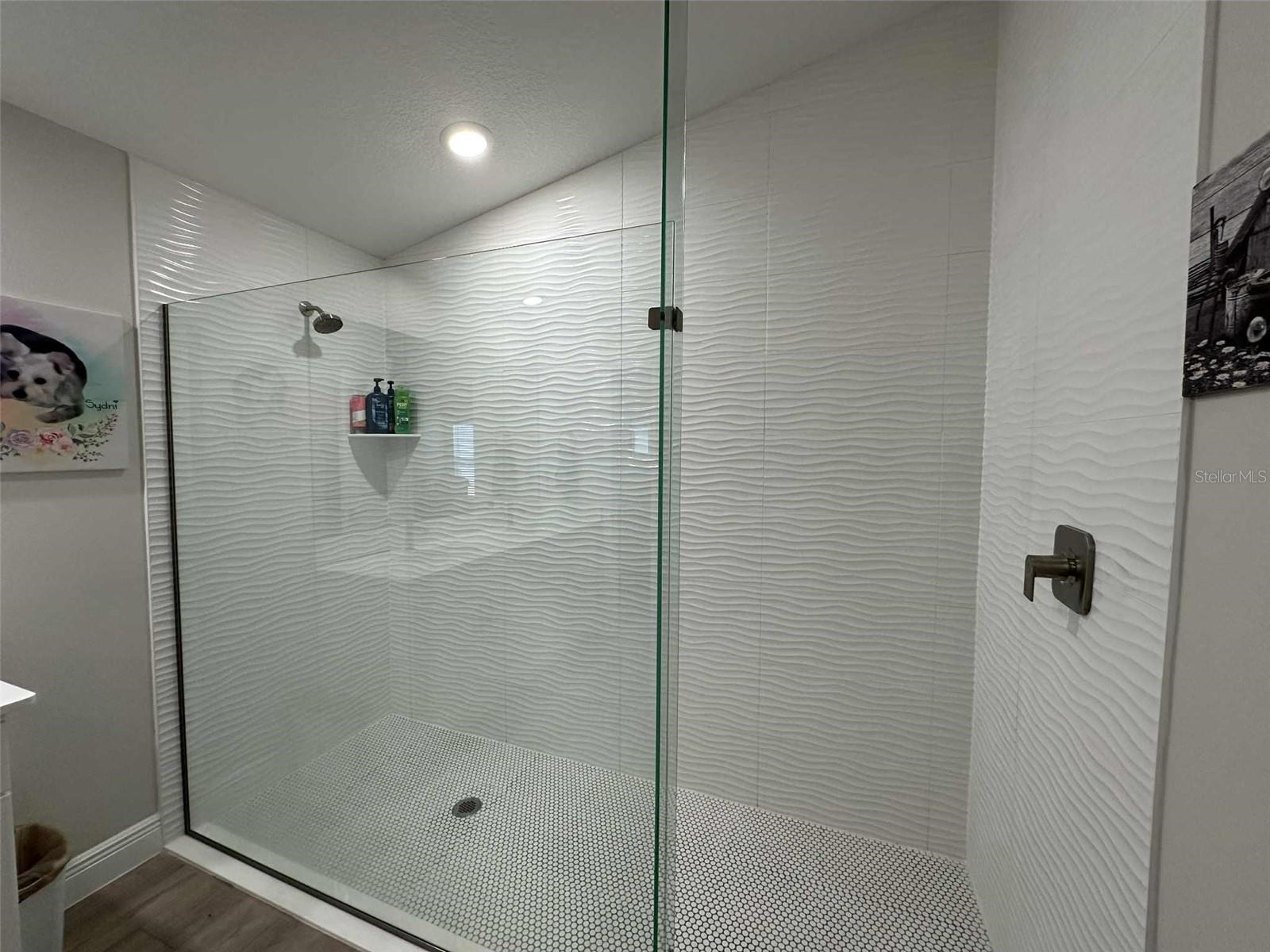 6245 SW 96TH PL, OCALA, FL, 34476