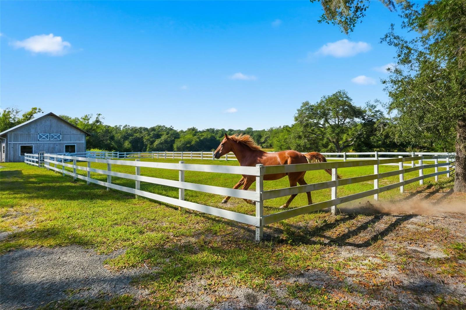 14315 FAMILY TRL, HUDSON, FL, 34669