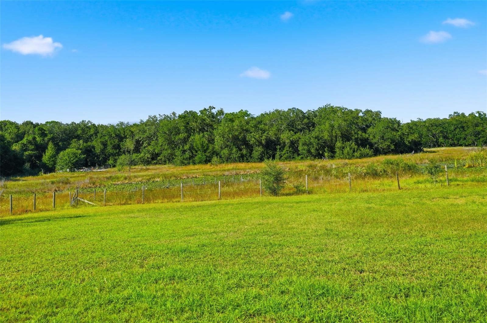 14315 FAMILY TRL, HUDSON, FL, 34669