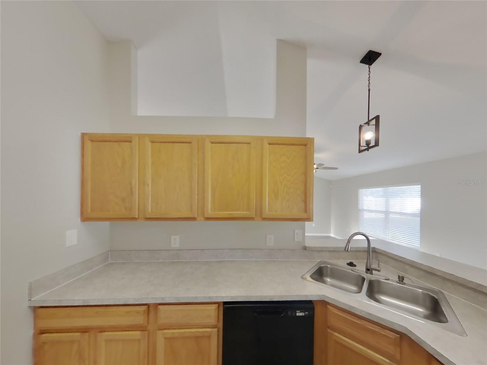 SPRING HILL, SPRING HILL, FL, 34608