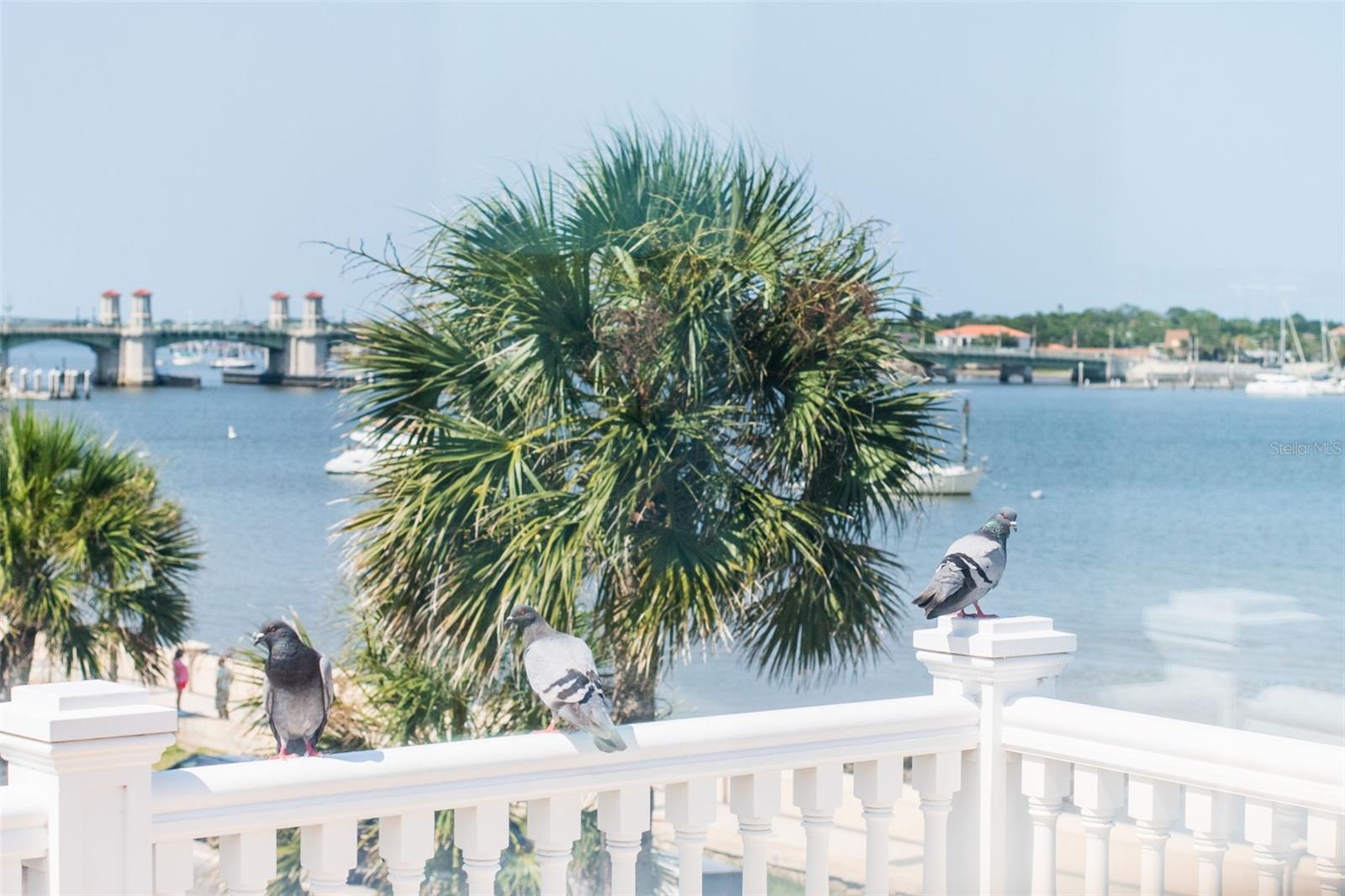 178 AVENIDA MENENDEZ, ST AUGUSTINE, FL, 32084