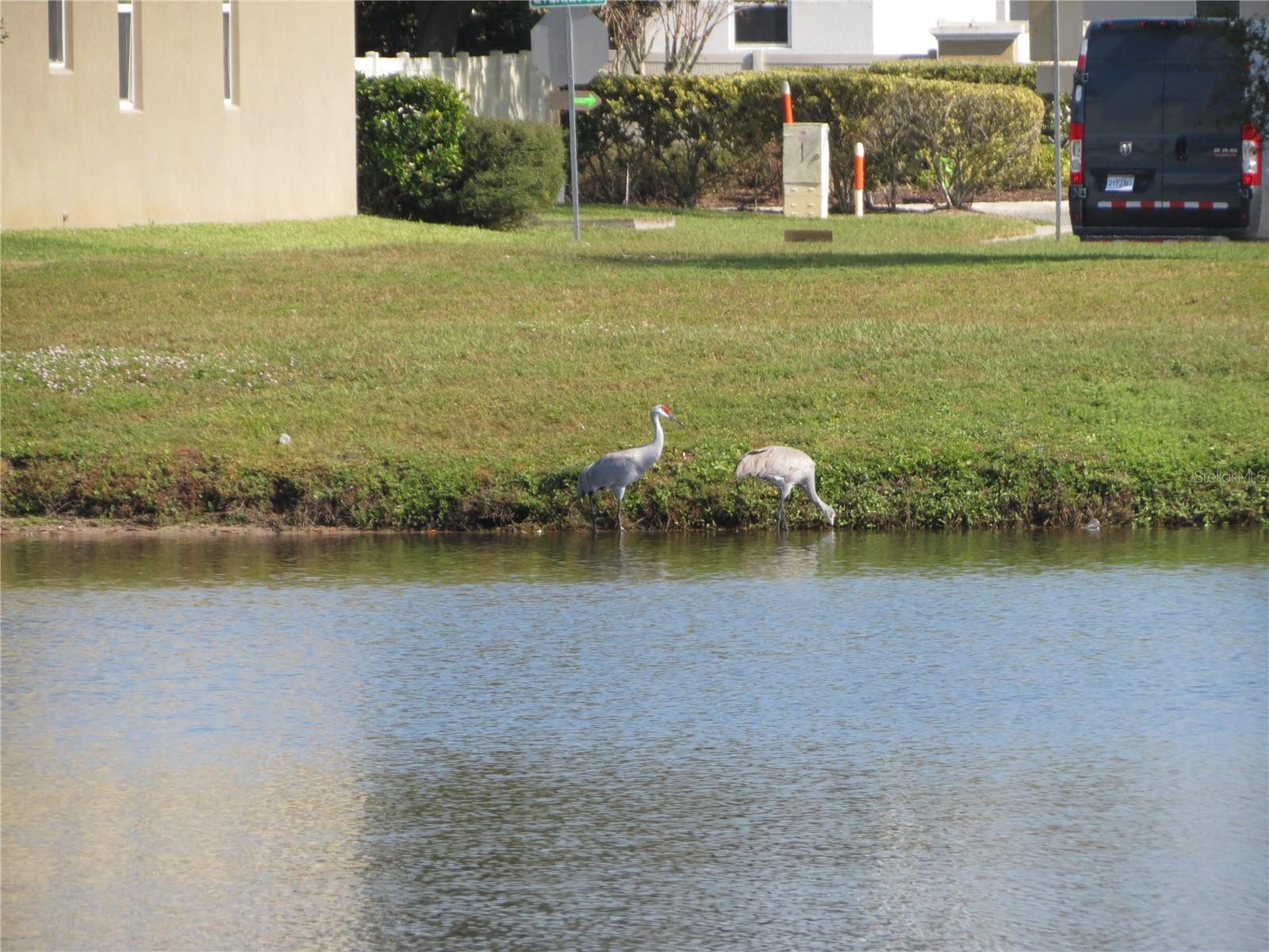 3968 ETERNITY CIR, ST CLOUD, FL, 34772