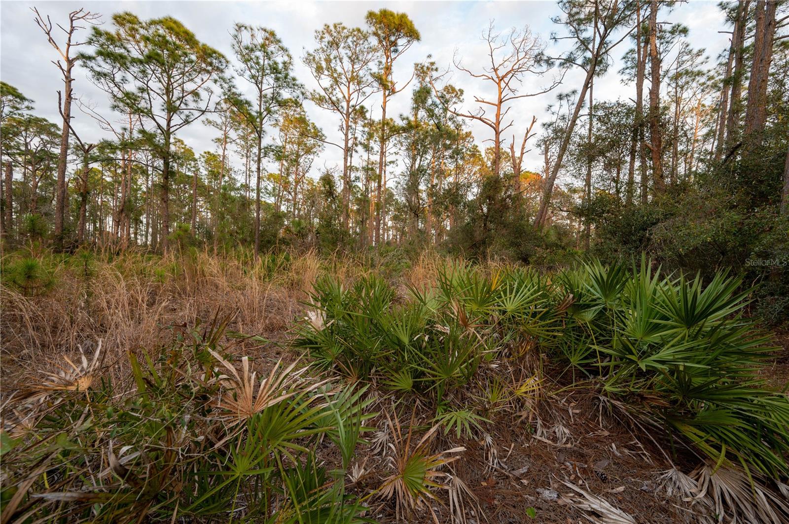 KAMSLER AVE, NORTH PORT, FL, 34286