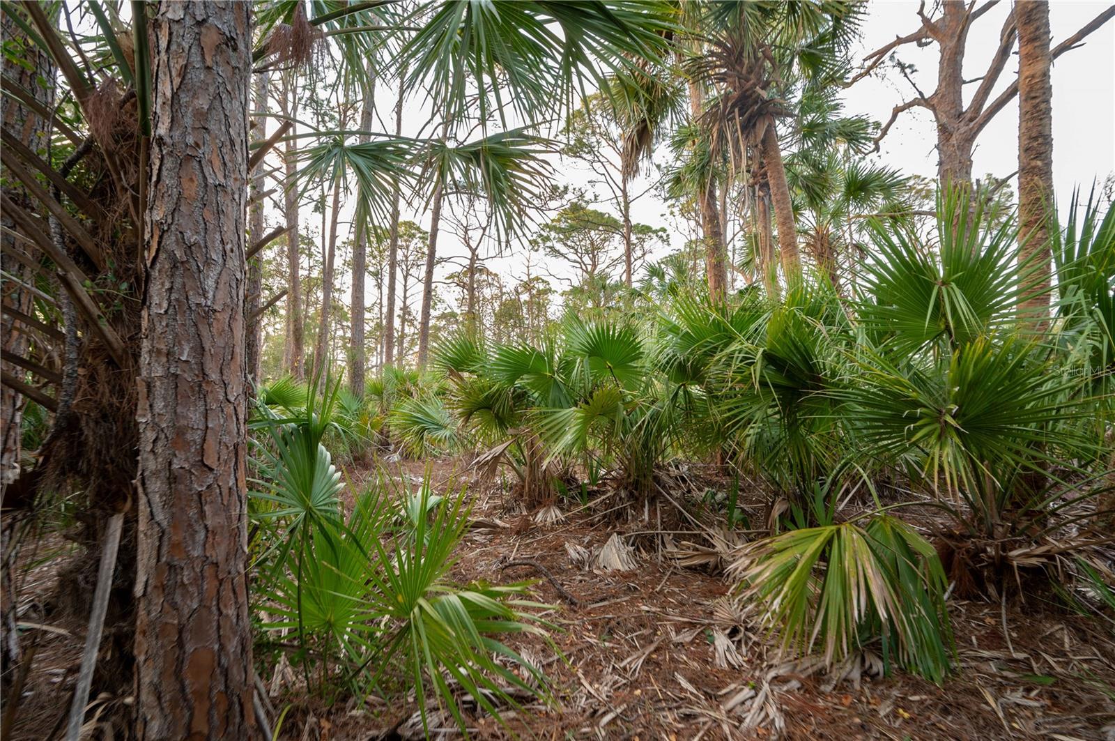 KAMSLER AVE, NORTH PORT, FL, 34286