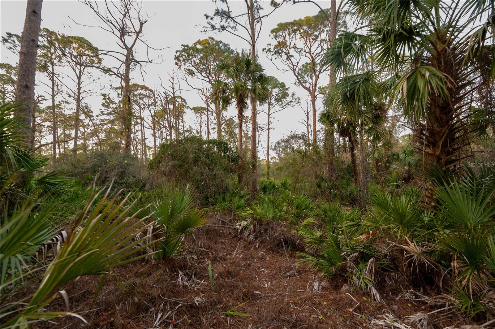 KAMSLER AVE, NORTH PORT, FL, 34286