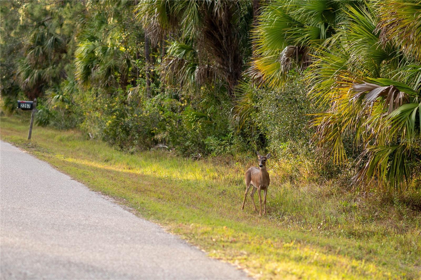 KAMSLER AVE, NORTH PORT, FL, 34286