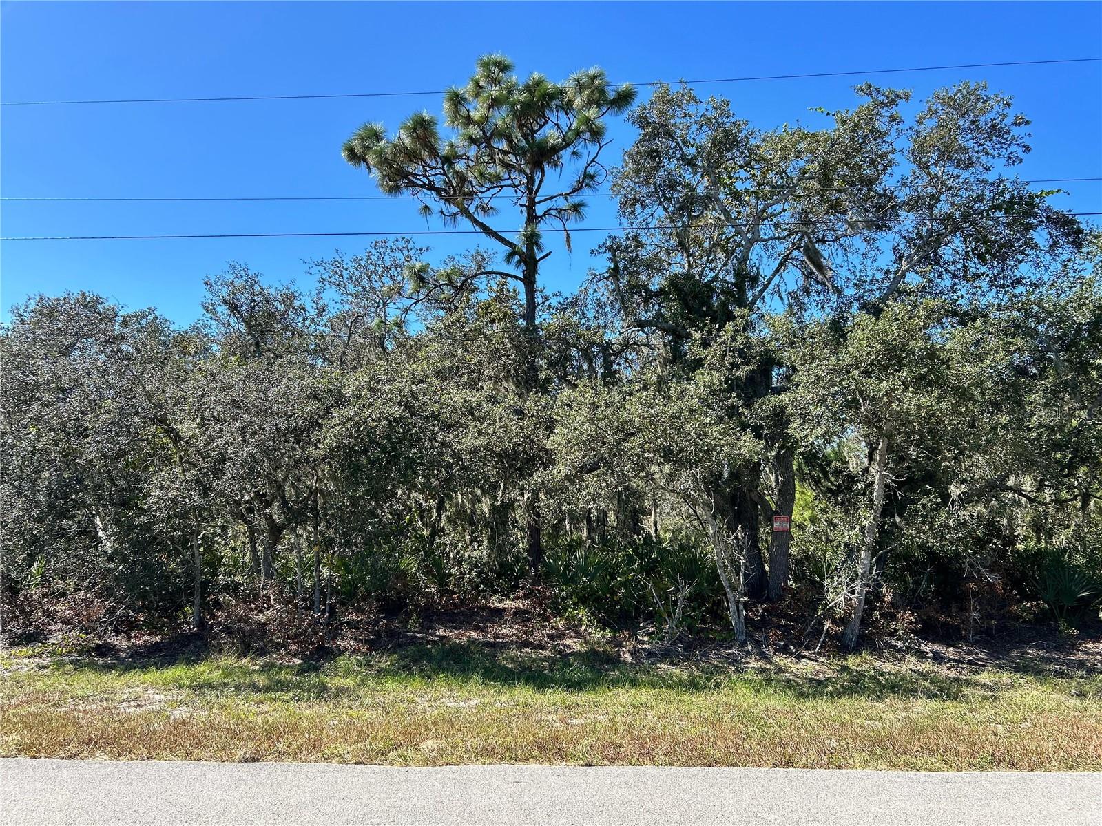 WOODSTORK WAY, FROSTPROOF, FL, 33843