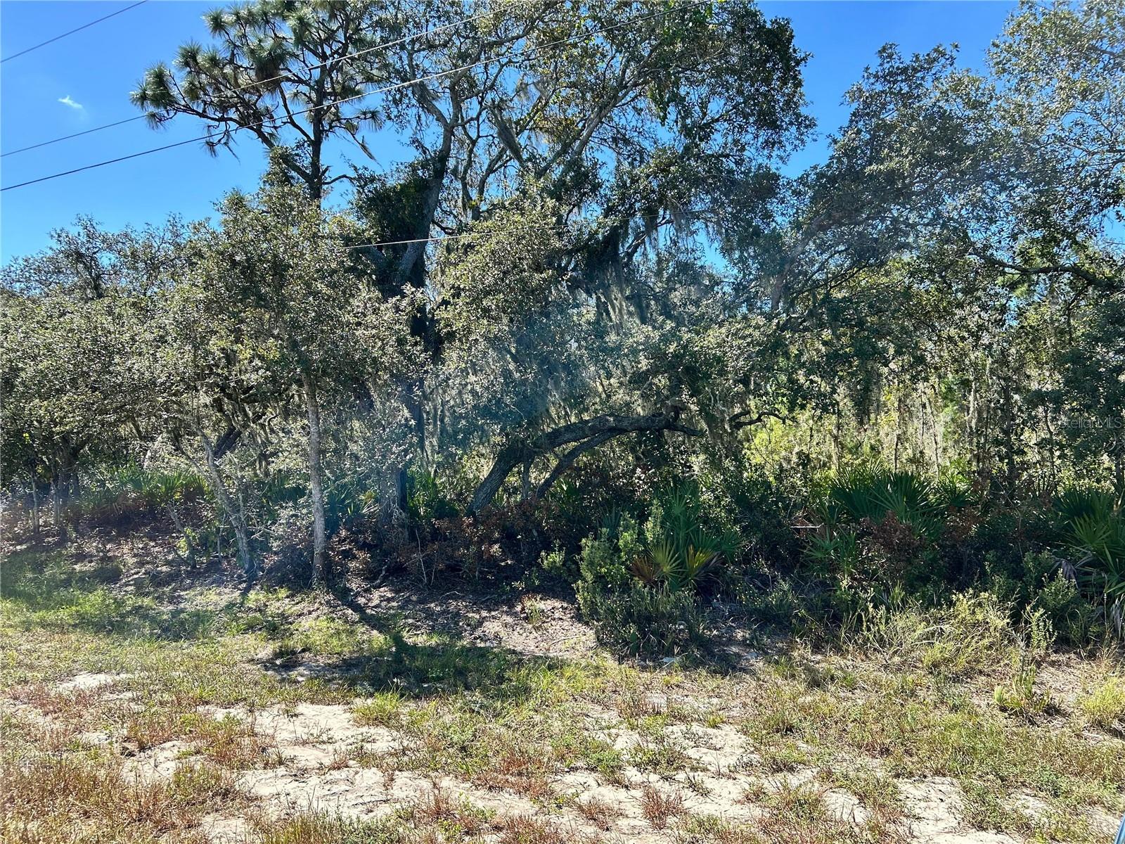 WOODSTORK WAY, FROSTPROOF, FL, 33843