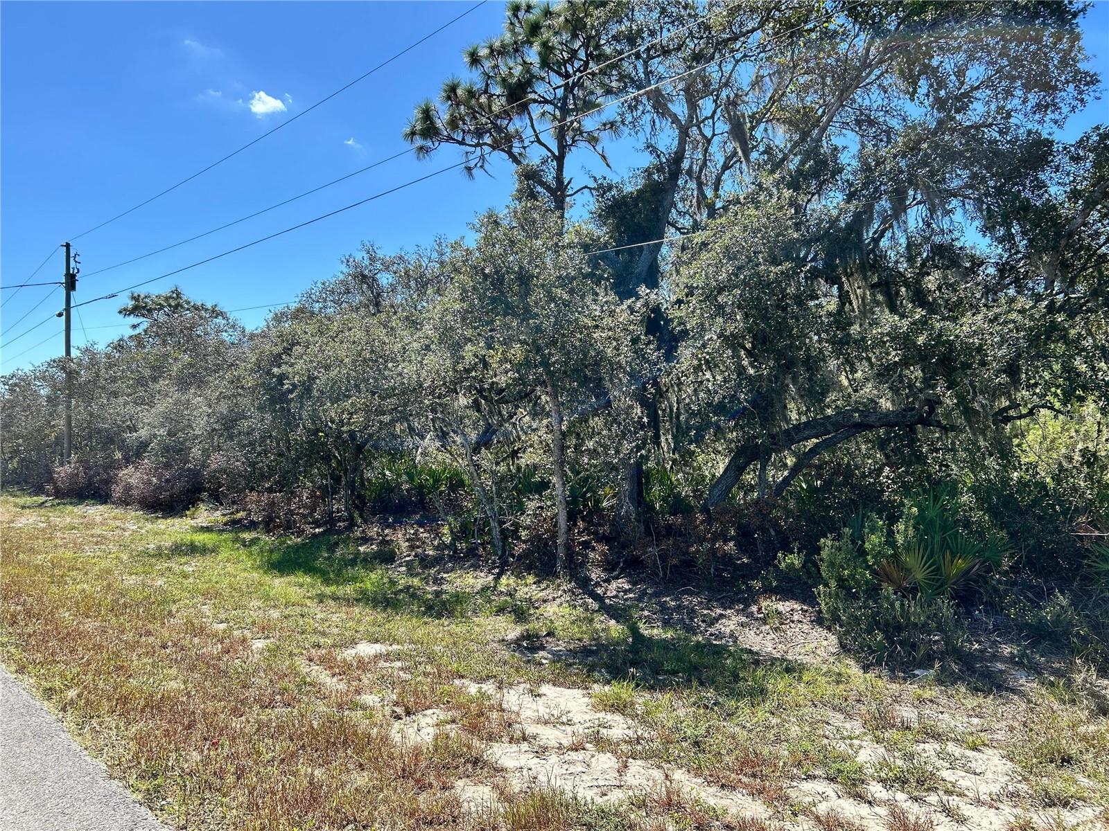WOODSTORK WAY, FROSTPROOF, FL, 33843