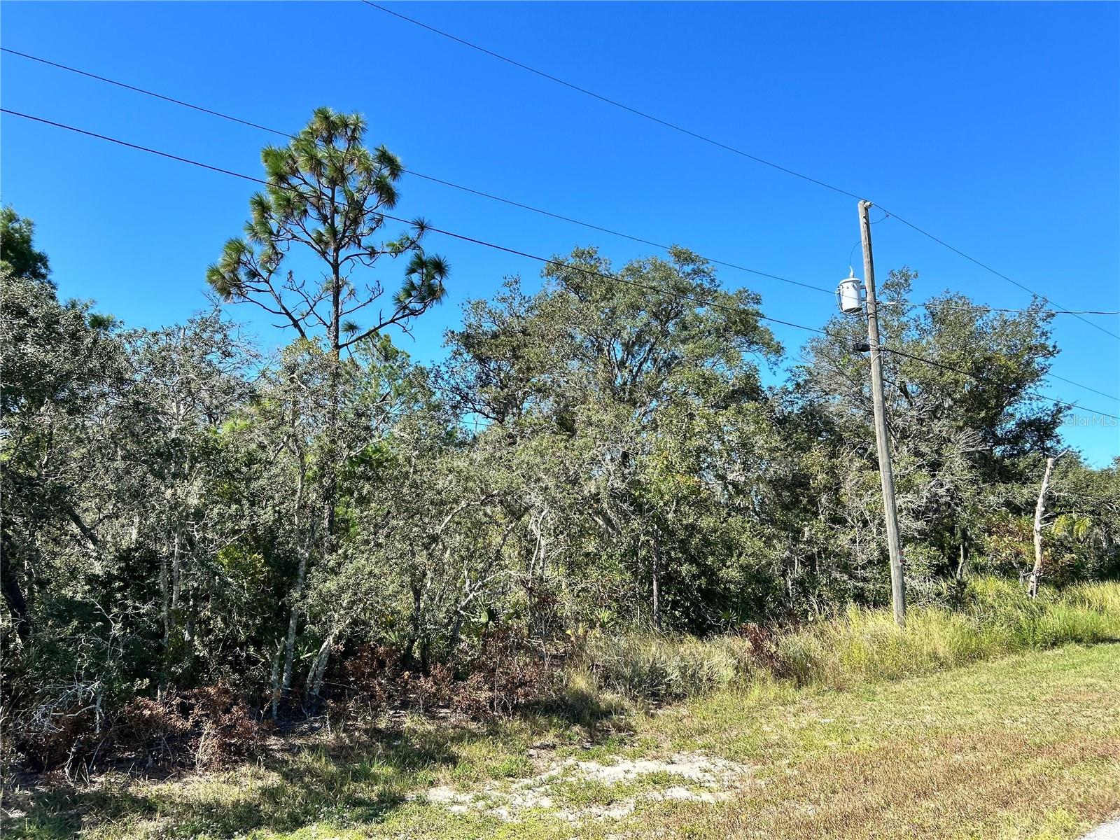 WOODSTORK WAY, FROSTPROOF, FL, 33843