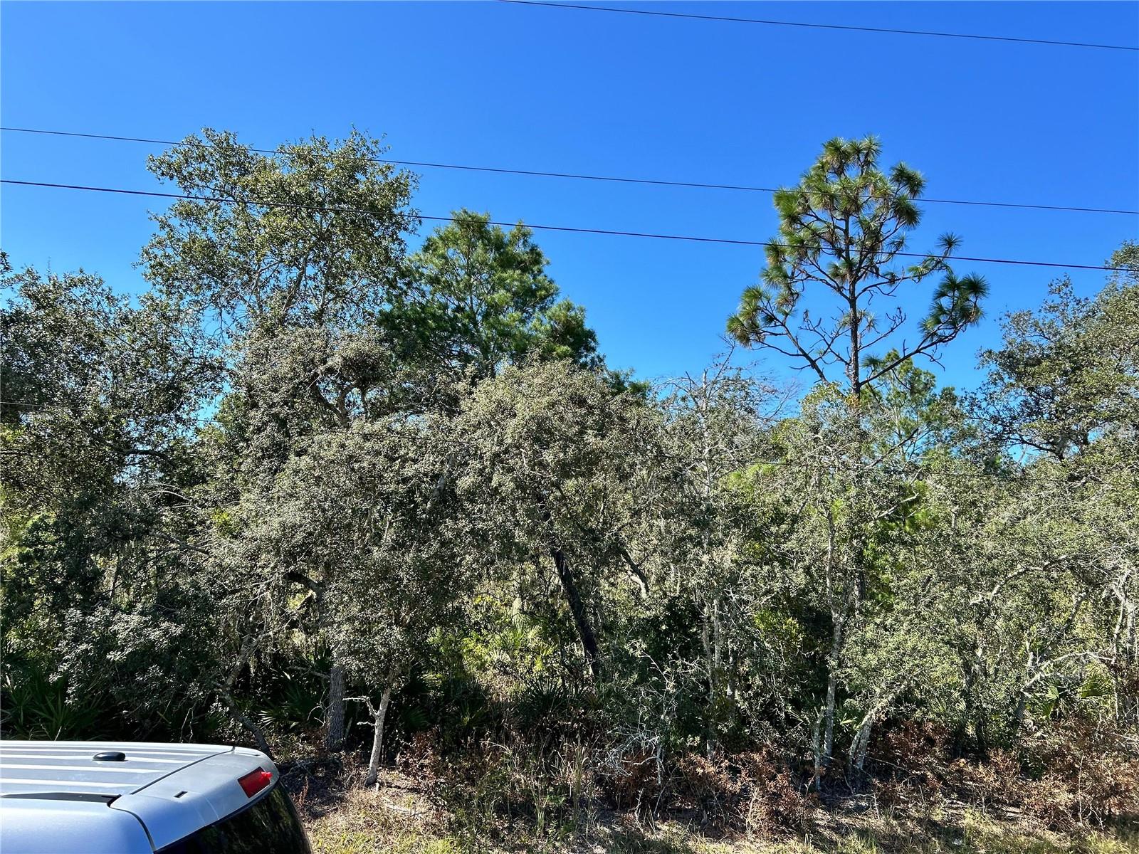 WOODSTORK WAY, FROSTPROOF, FL, 33843