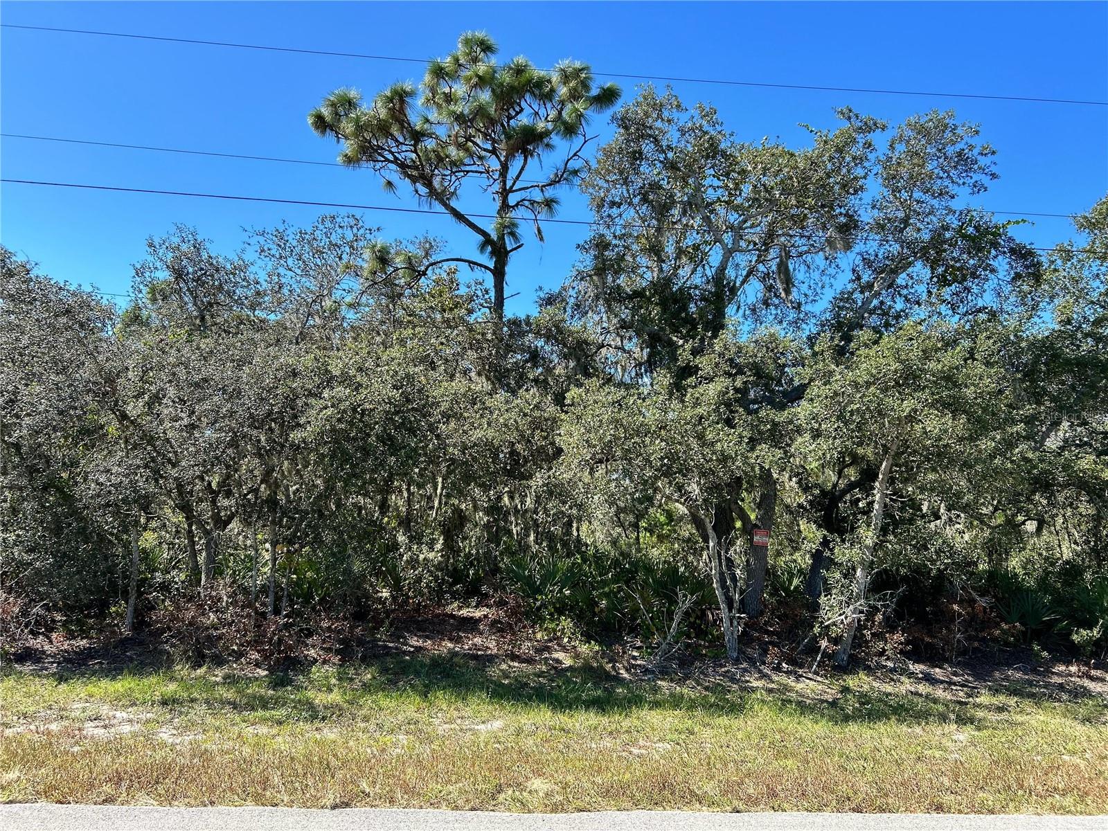 WOODSTORK WAY, FROSTPROOF, FL, 33843