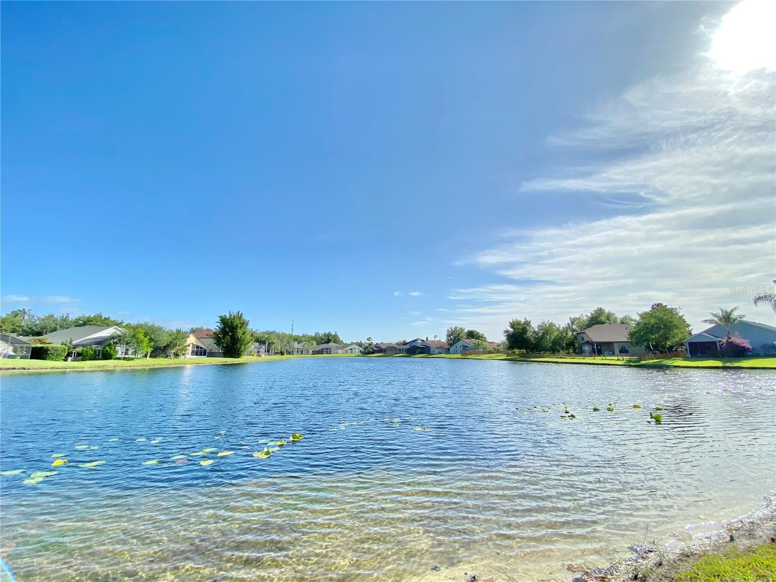 513 HARDWOOD CIR, ORLANDO, FL, 32828