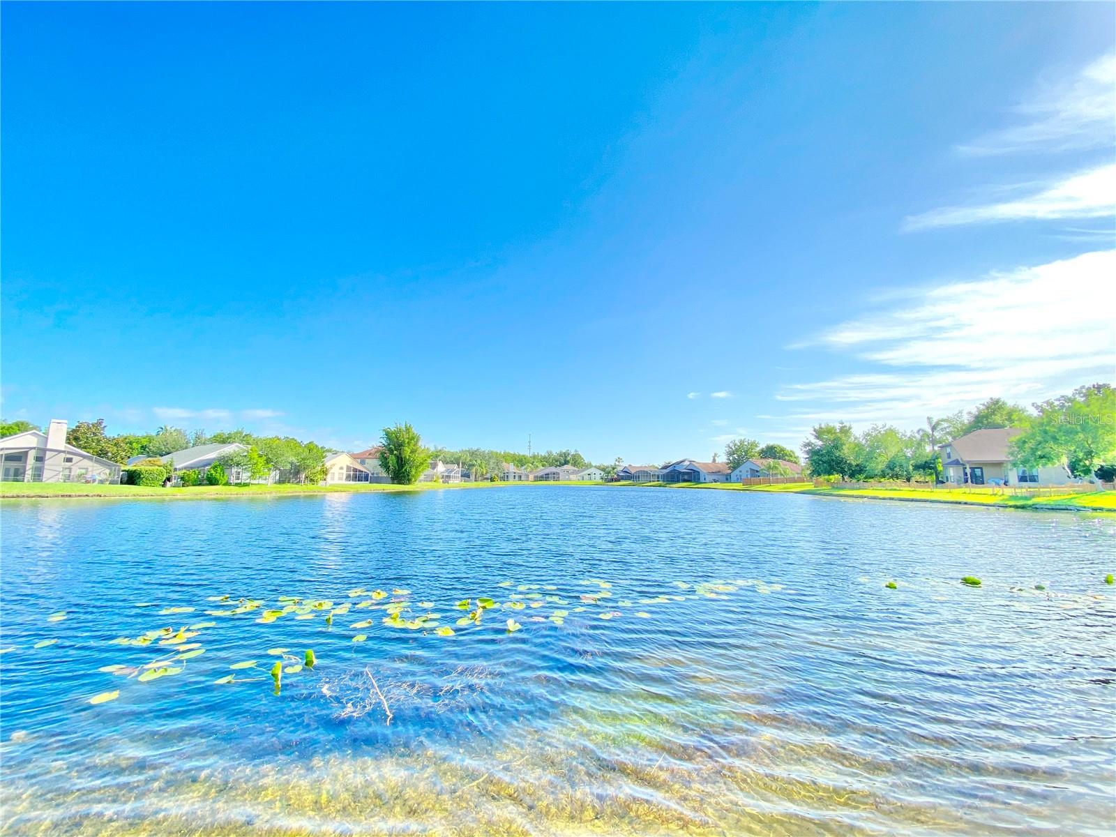 513 HARDWOOD CIR, ORLANDO, FL, 32828