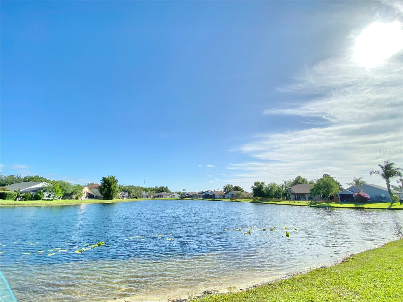 513 HARDWOOD CIR, ORLANDO, FL, 32828