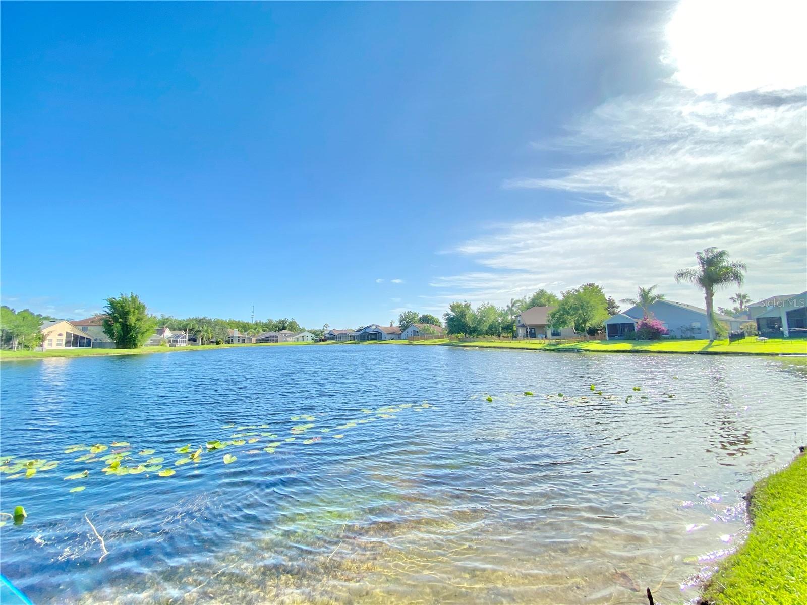 513 HARDWOOD CIR, ORLANDO, FL, 32828