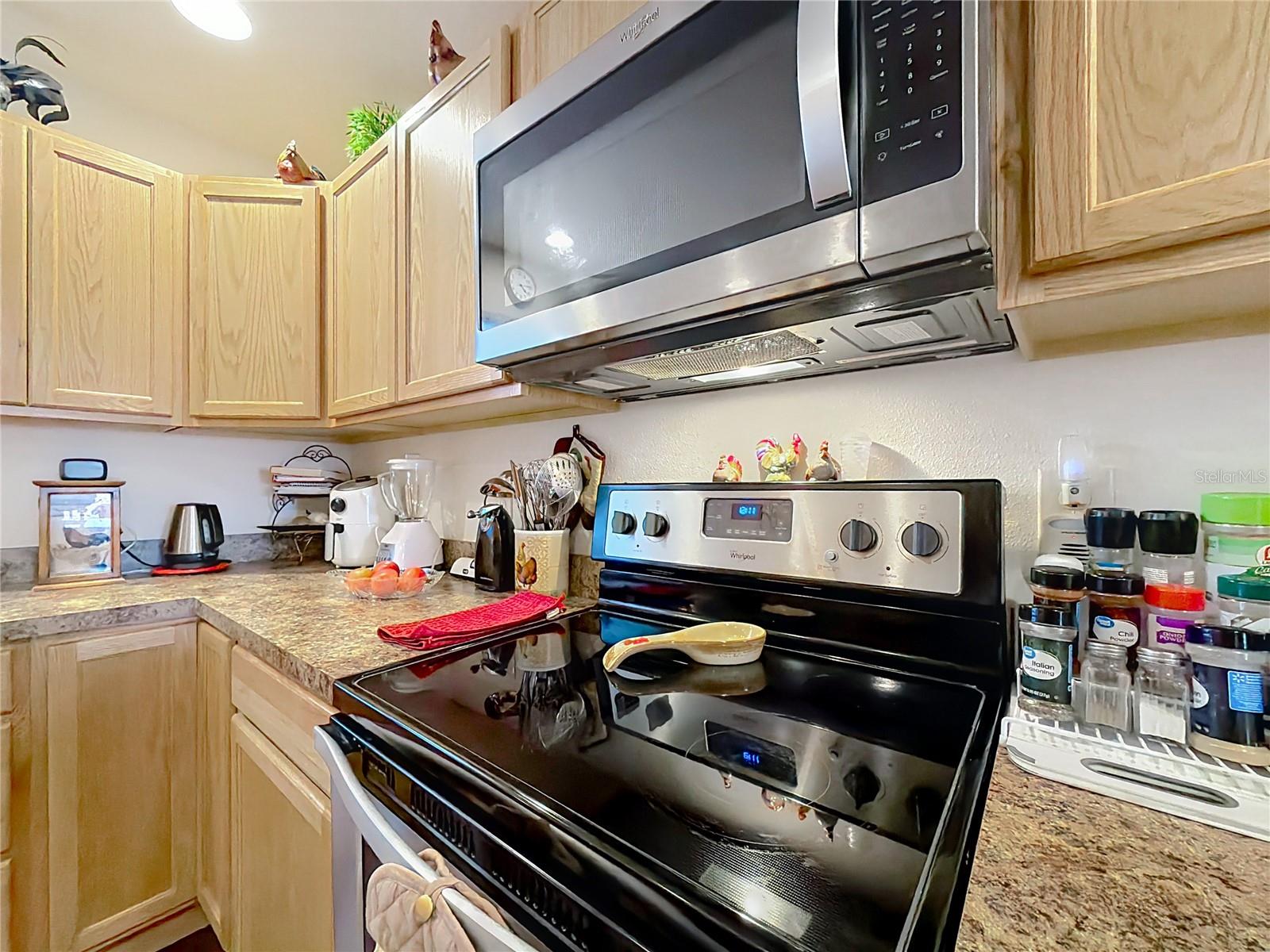 3531 THORNE PATH, OXFORD, FL, 34484