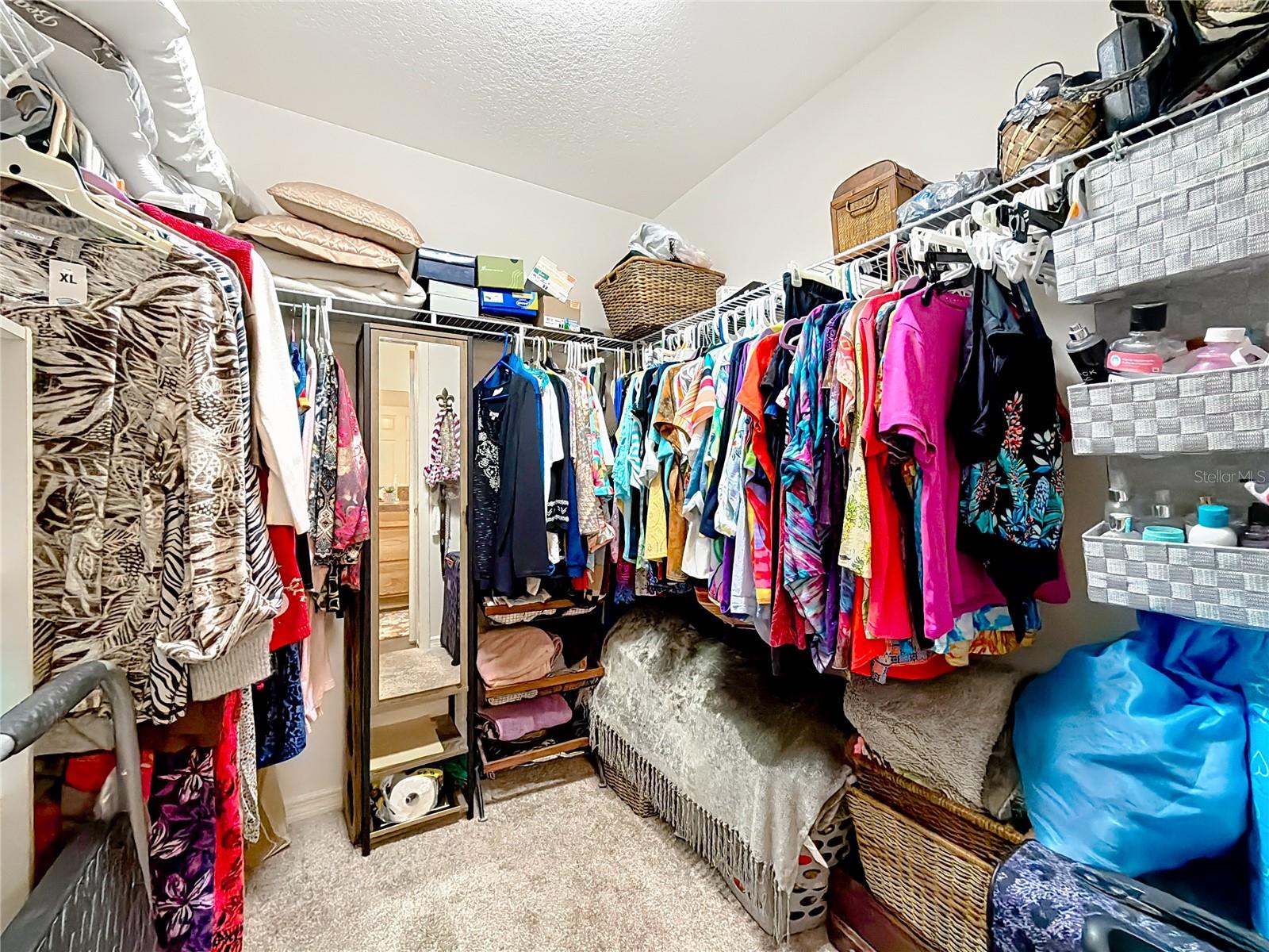 3531 THORNE PATH, OXFORD, FL, 34484